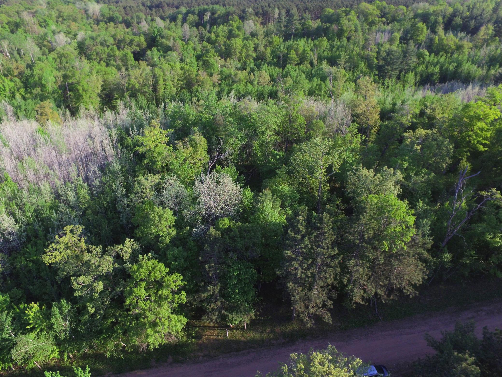 Lot 19 Aspen Hill Trailway Property Photo 3