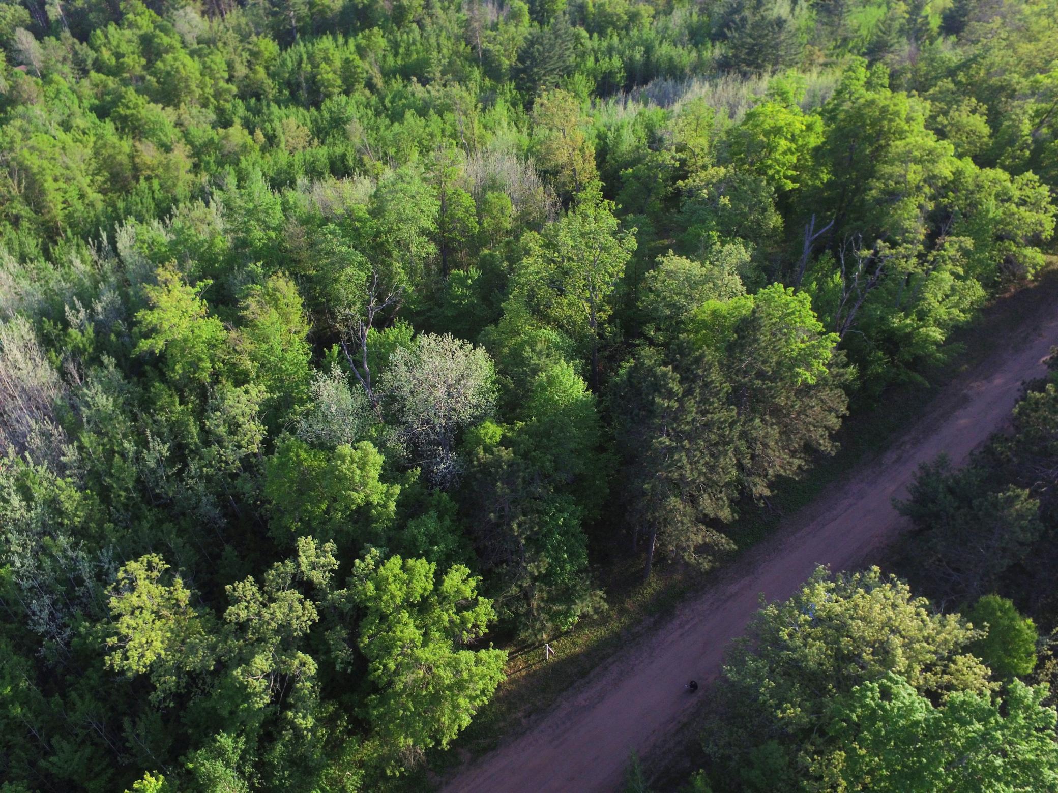 Lot 19 Aspen Hill Trailway Property Photo 4