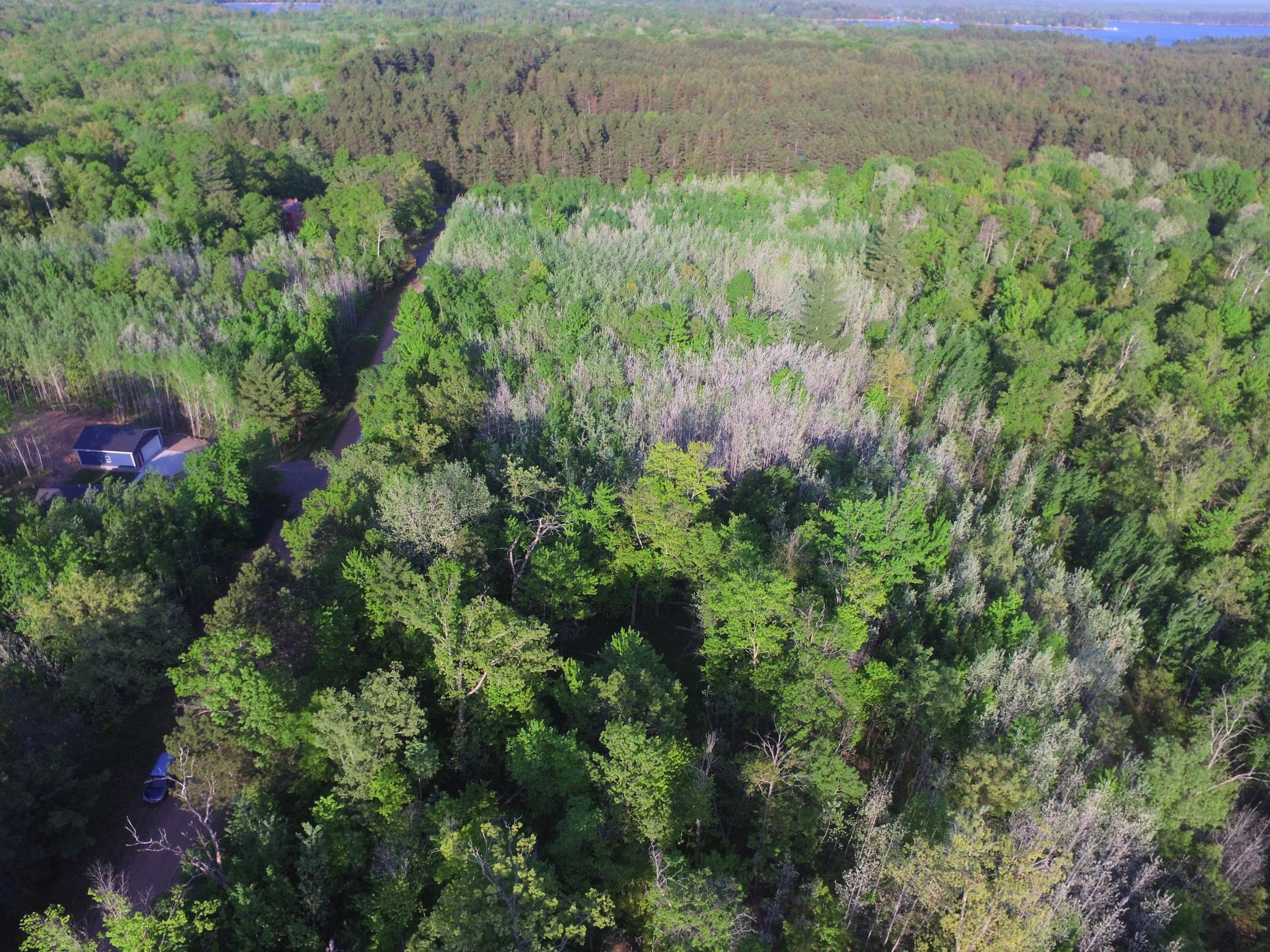 Lot 19 Aspen Hill Trailway Property Photo 5