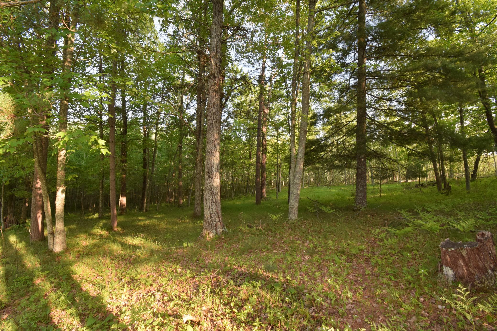 Lot 19 Aspen Hill Trailway Property Photo 6
