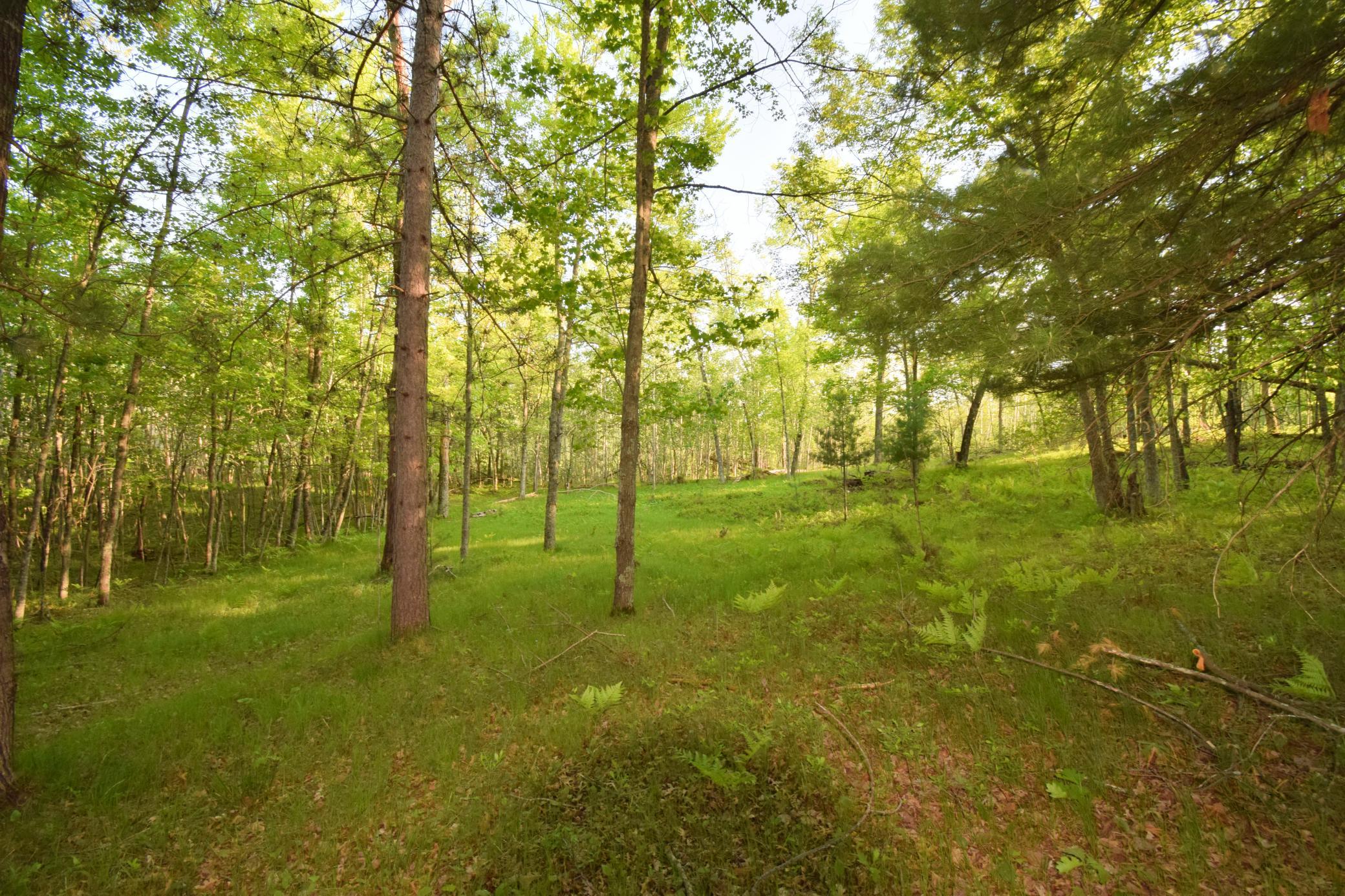 Lot 19 Aspen Hill Trailway Property Photo 8