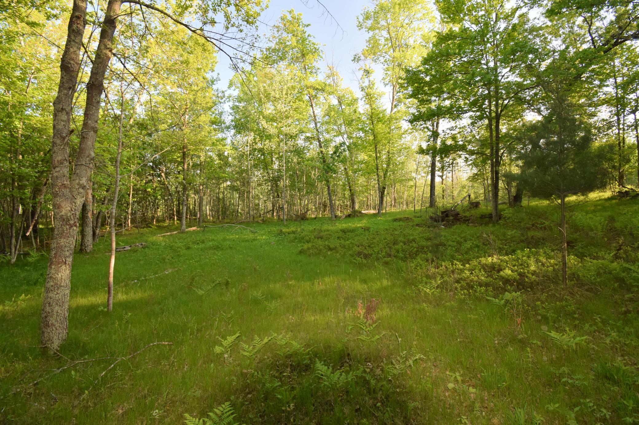 Lot 19 Aspen Hill Trailway Property Photo 9