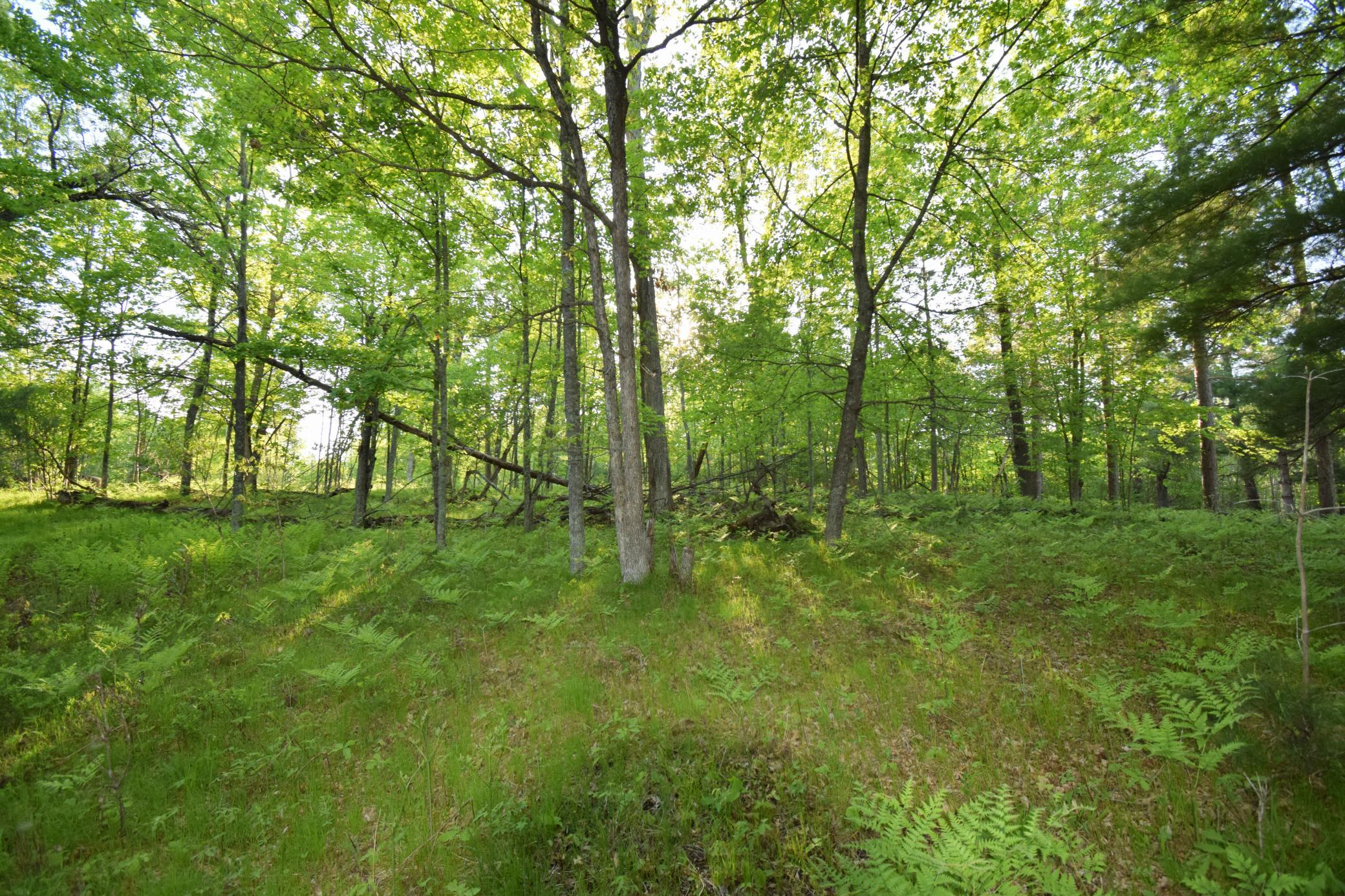 Lot 19 Aspen Hill Trailway Property Photo 11