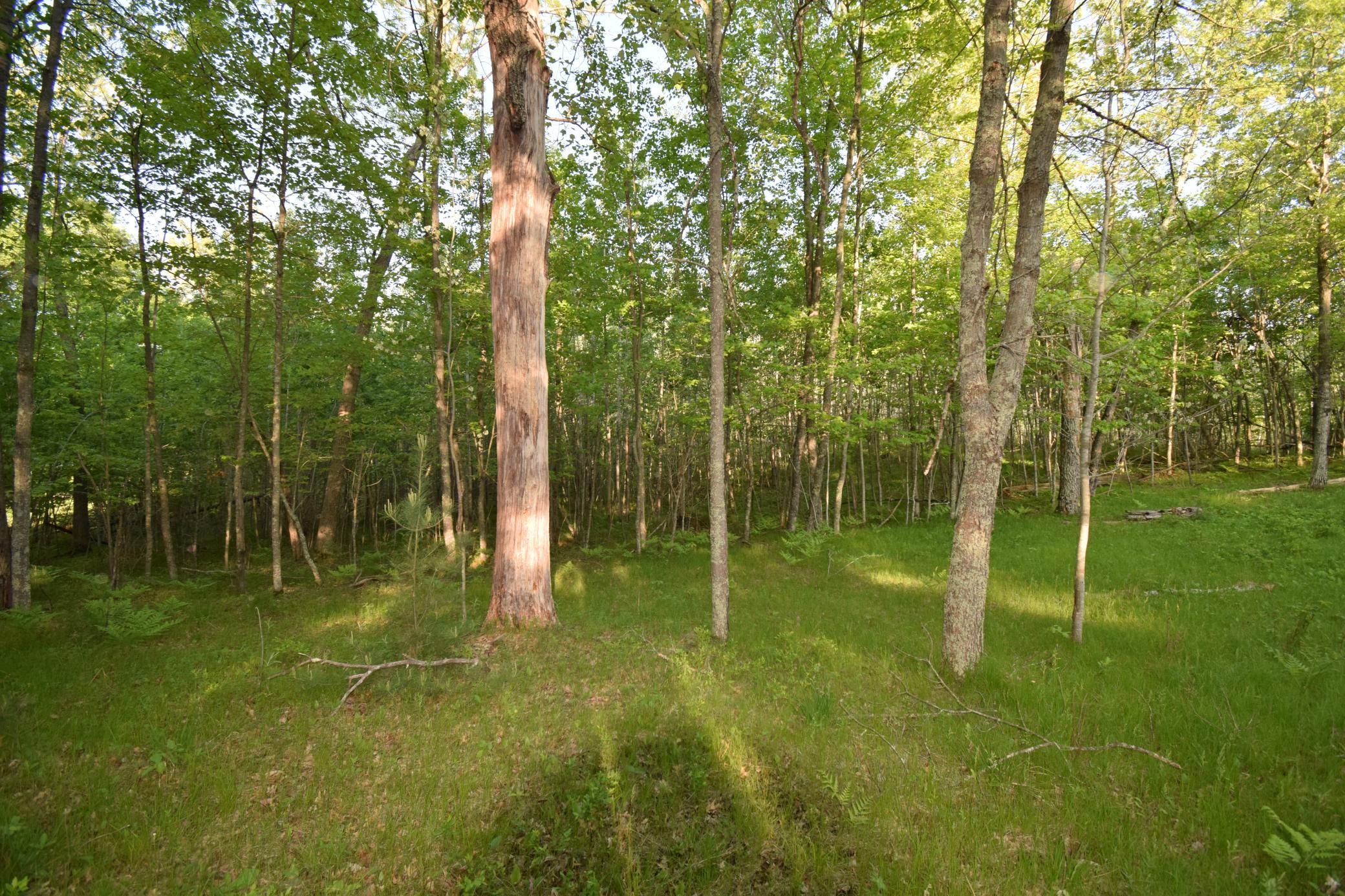 Lot 19 Aspen Hill Trailway Property Photo 12