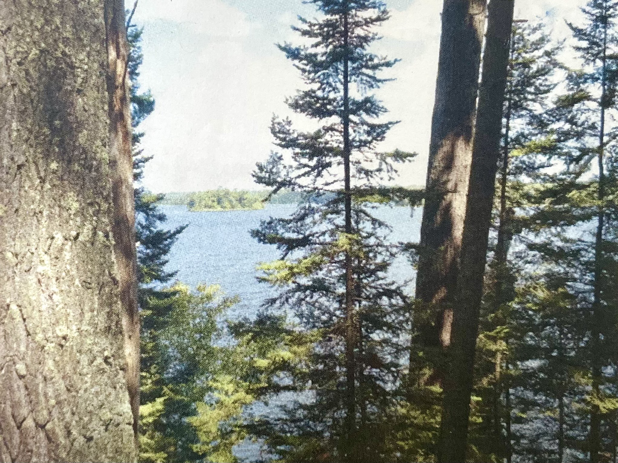 Tbd Muskie Bay Road Ne Property Photo 2