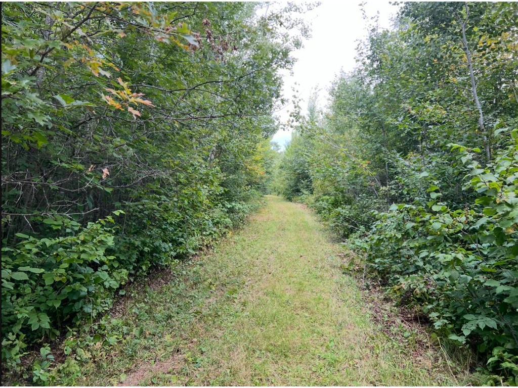 12157 Butternut Road Property Photo 37