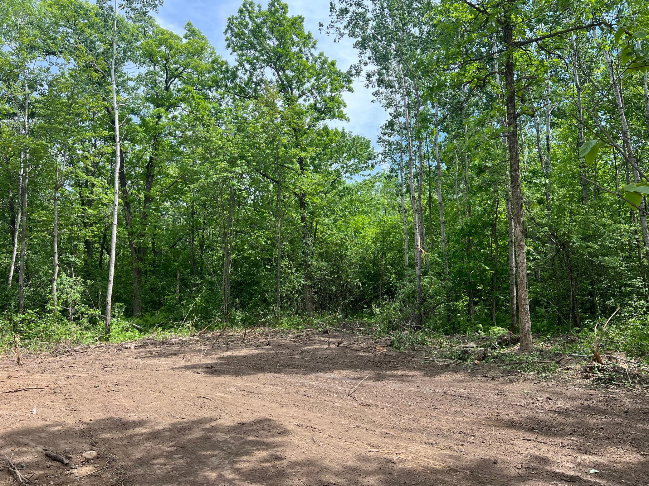 12157 Butternut Road Property Photo 38
