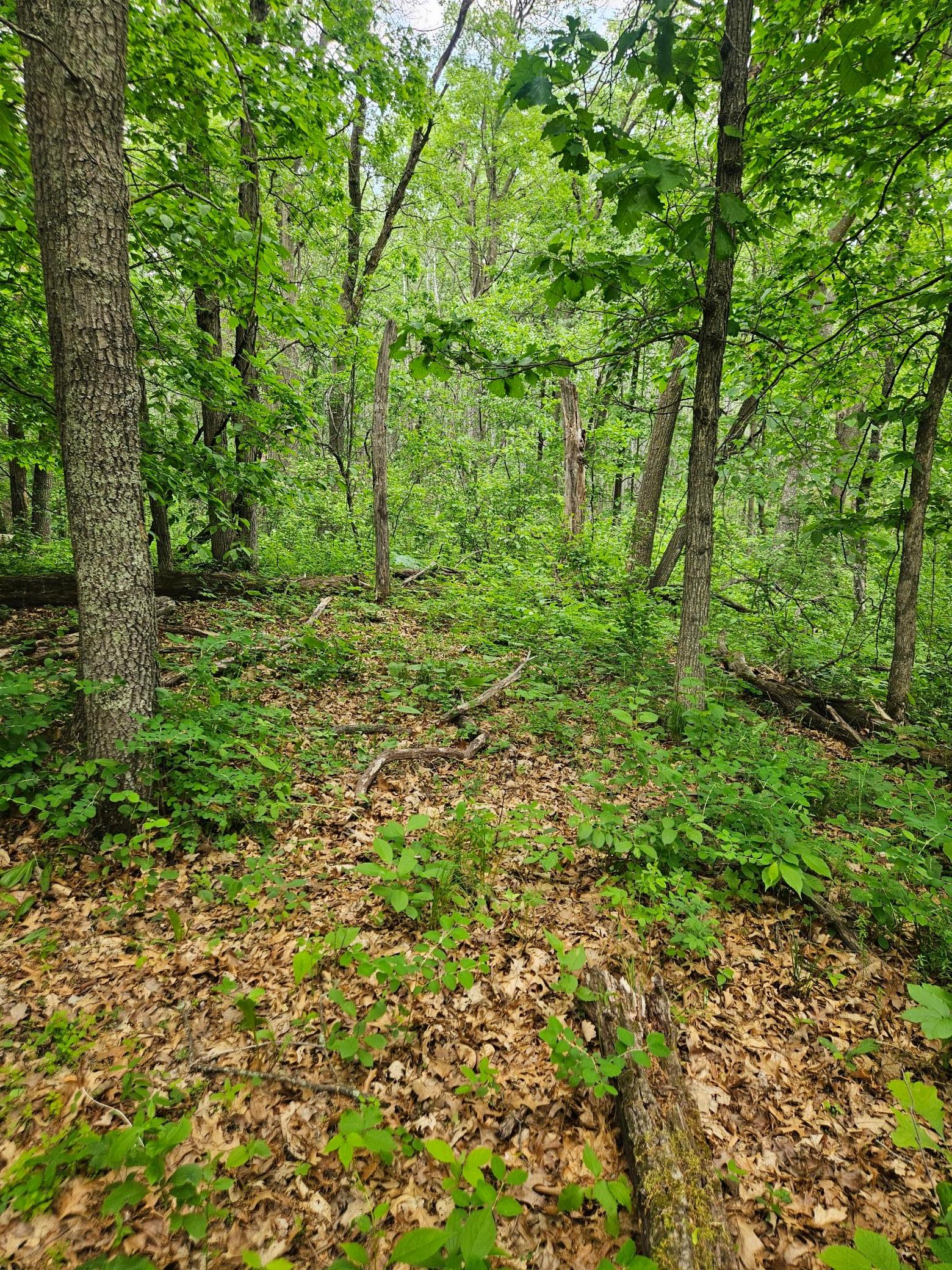 Parcel E Rogue Way Property Photo 14