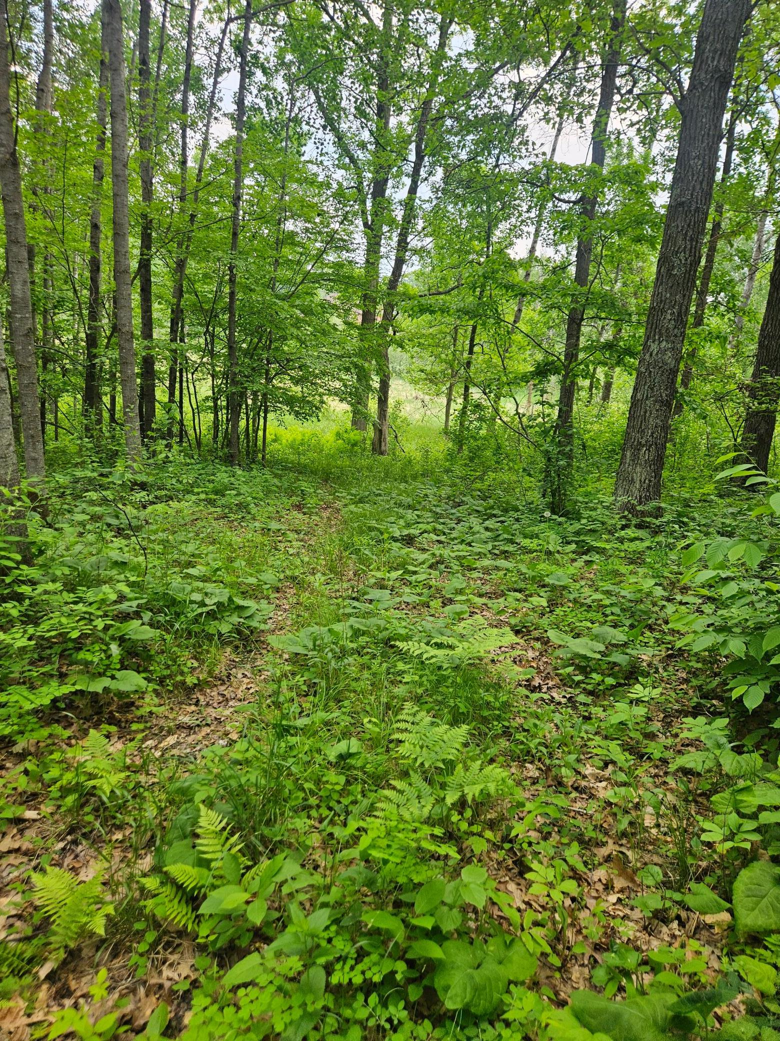 Parcel E Rogue Way Property Photo 16
