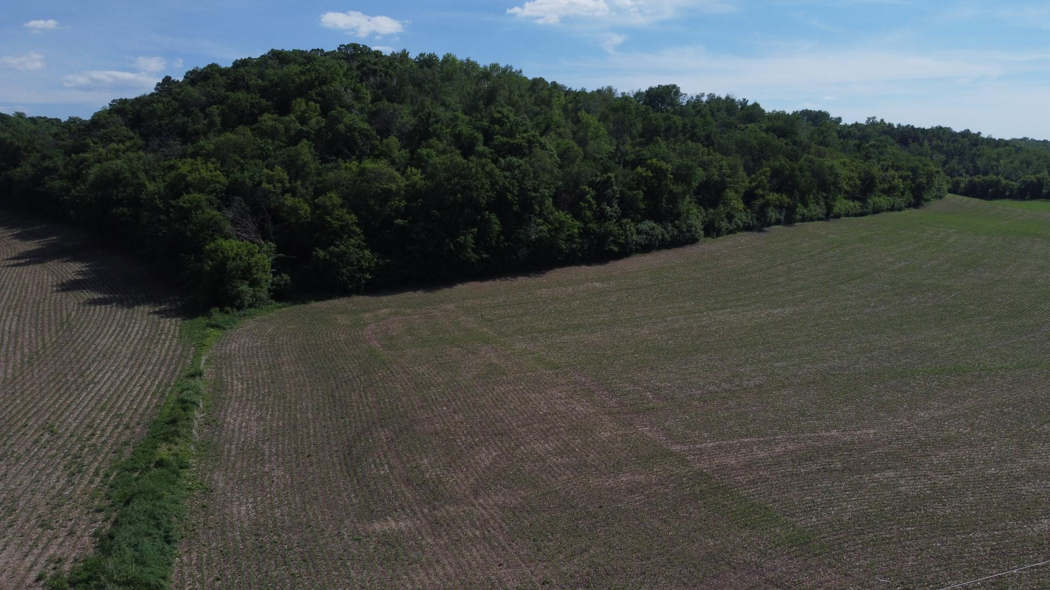 Tbd County 5 Boulevard Property Photo 11