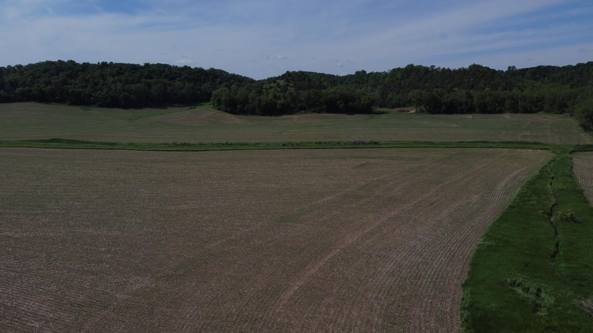 Tbd County 5 Boulevard Property Photo 13