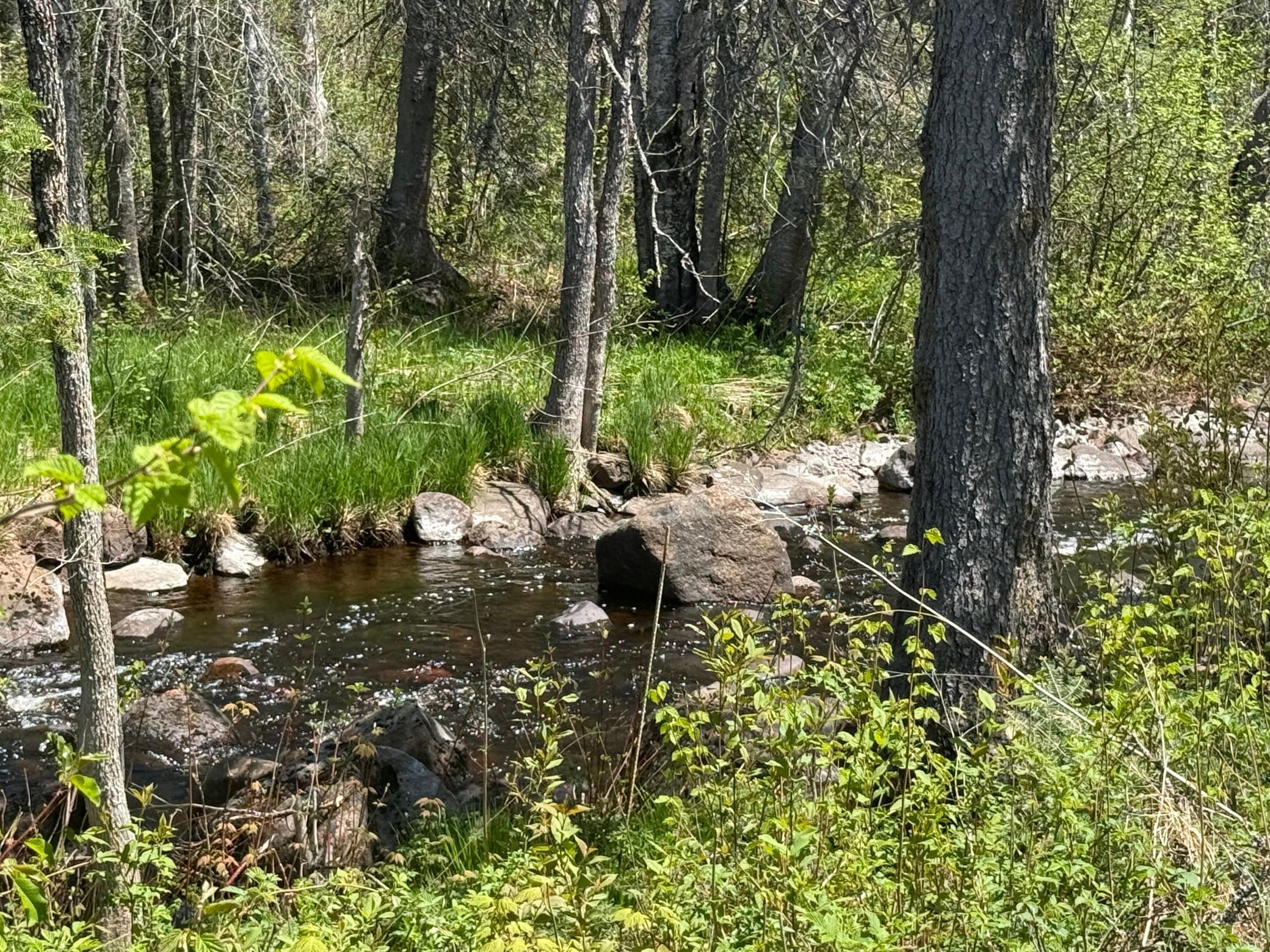 Tbd Crown Creek Spur Rd Property Photo 1