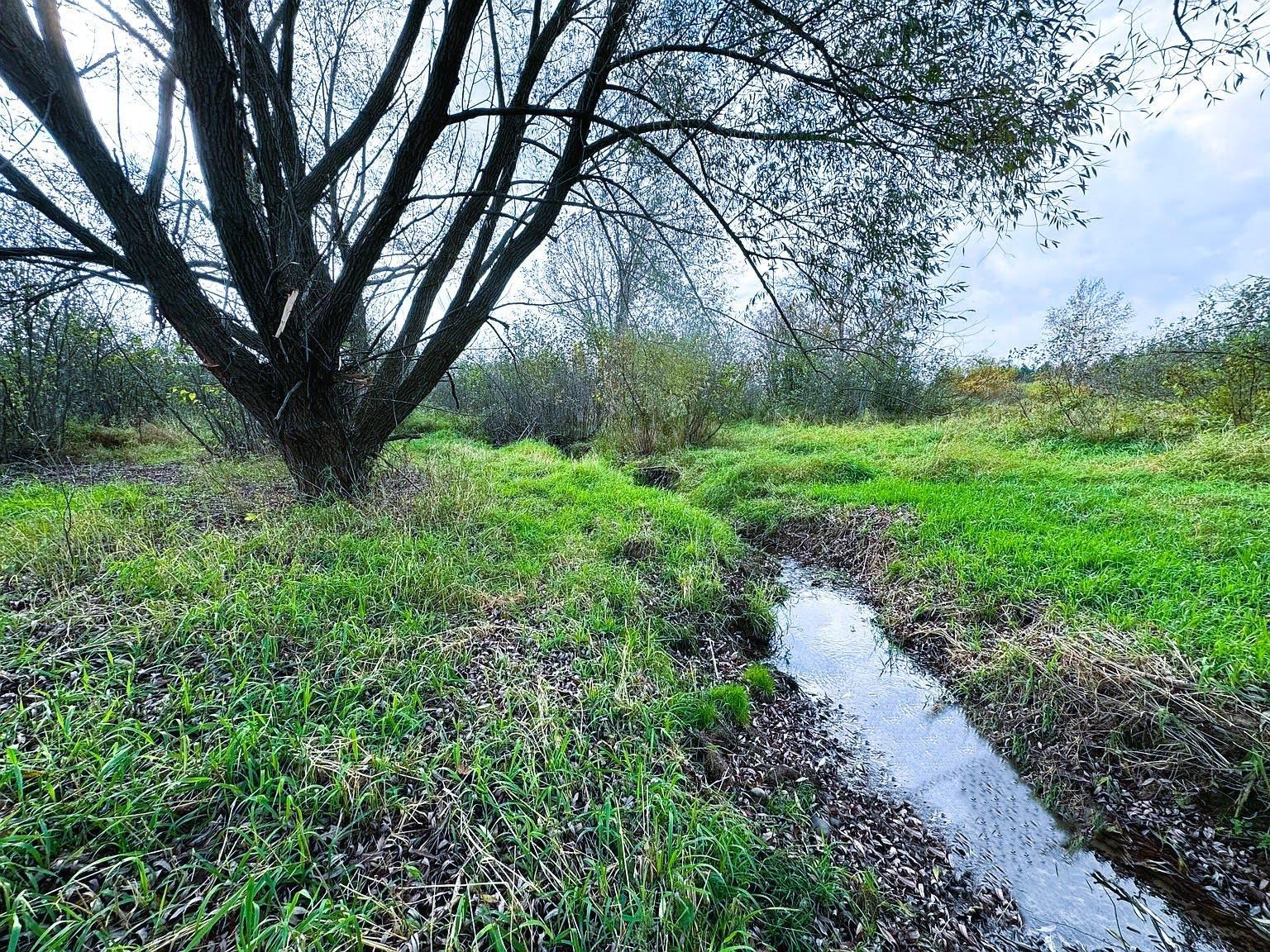 Na County Rd O Property Photo 3