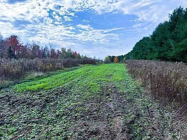 Na County Rd O Property Photo 6