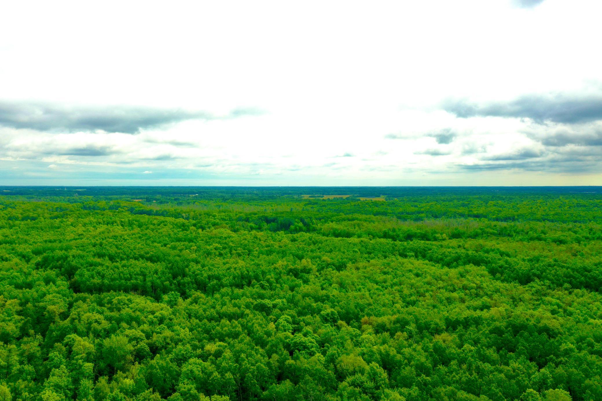 10551 Mallard Road Property Photo 2