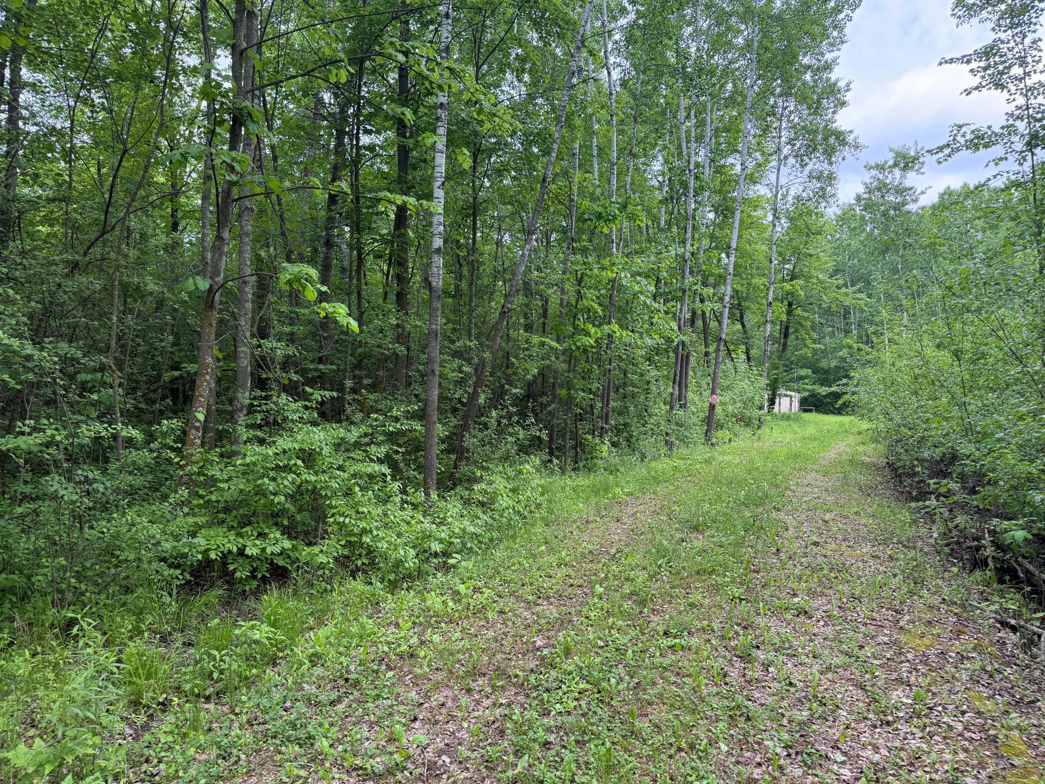 10551 Mallard Road Property Photo 5