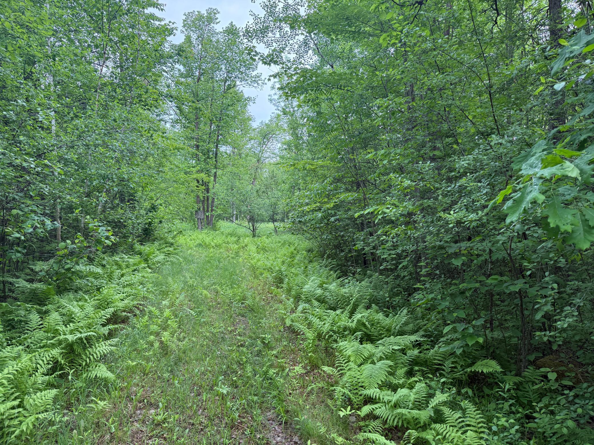 10551 Mallard Road Property Photo 10
