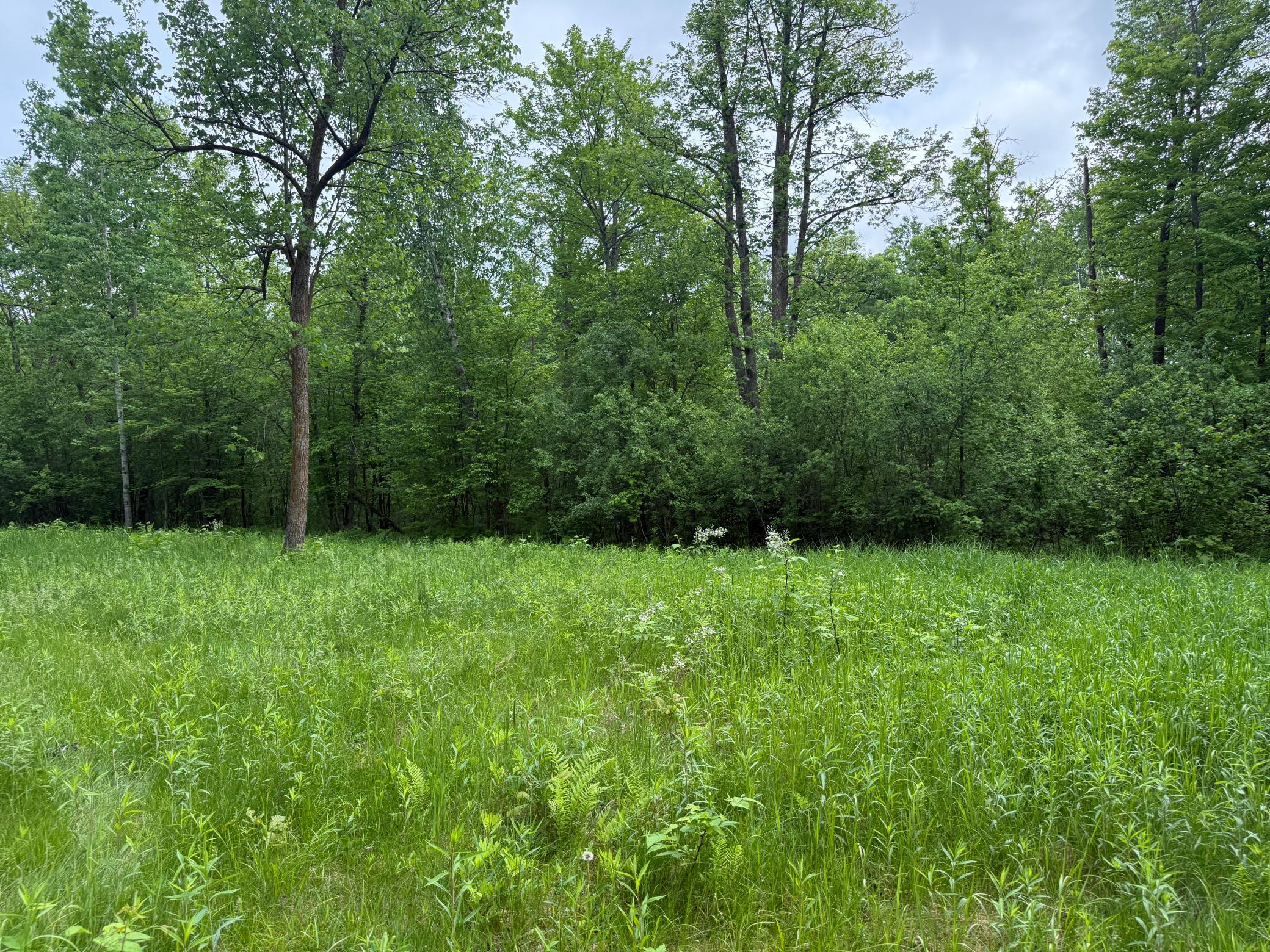 10551 Mallard Road Property Photo 11