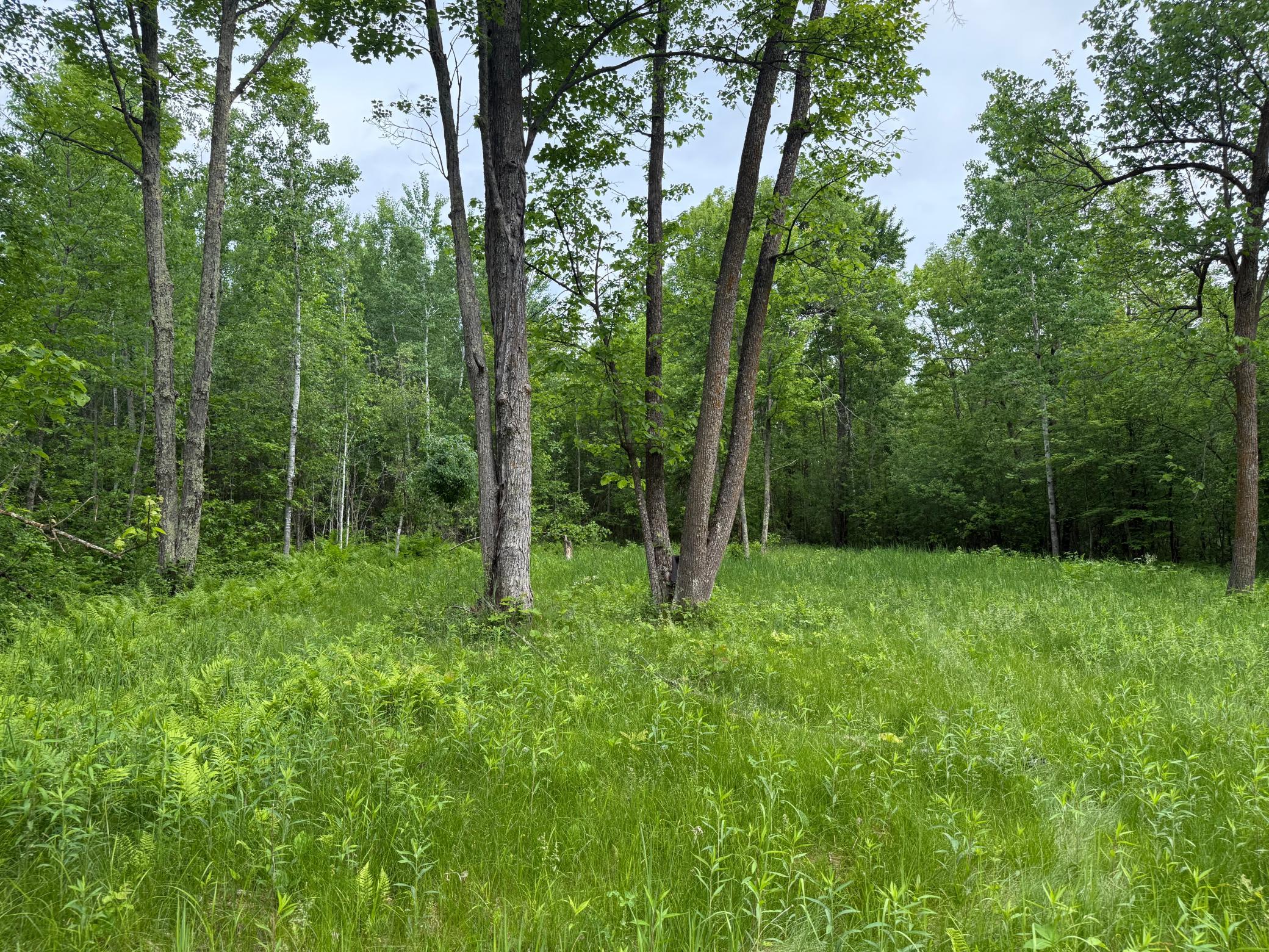 10551 Mallard Road Property Photo 12