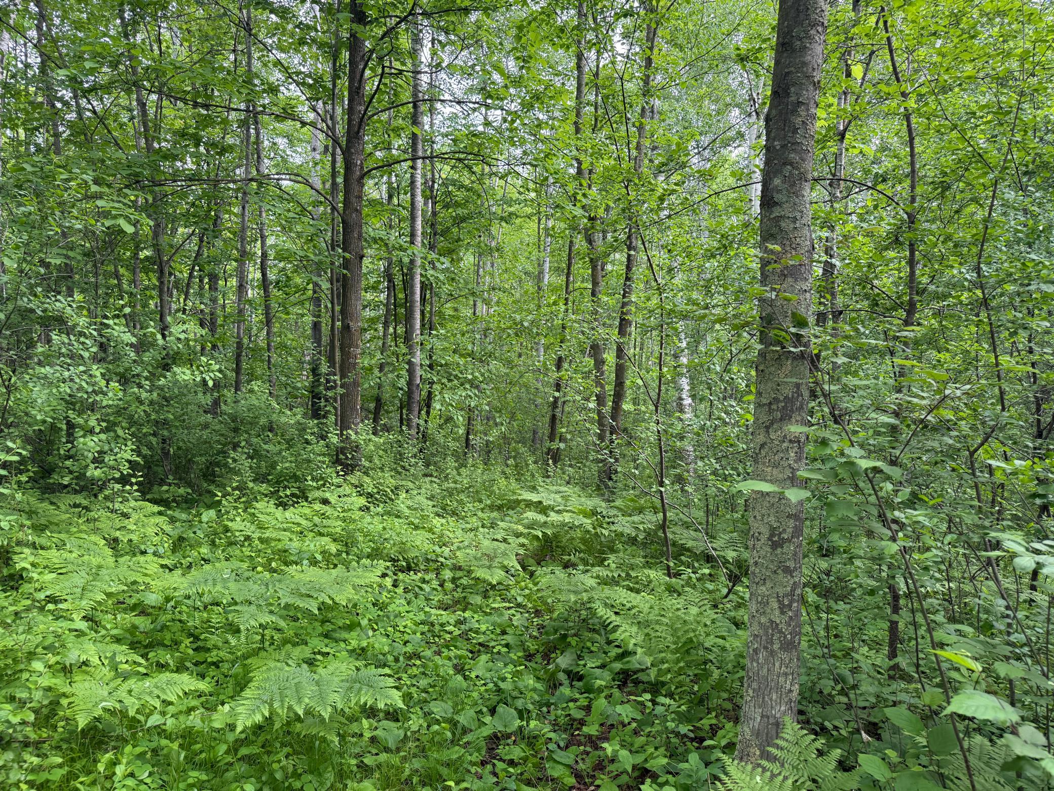 10551 Mallard Road Property Photo 13