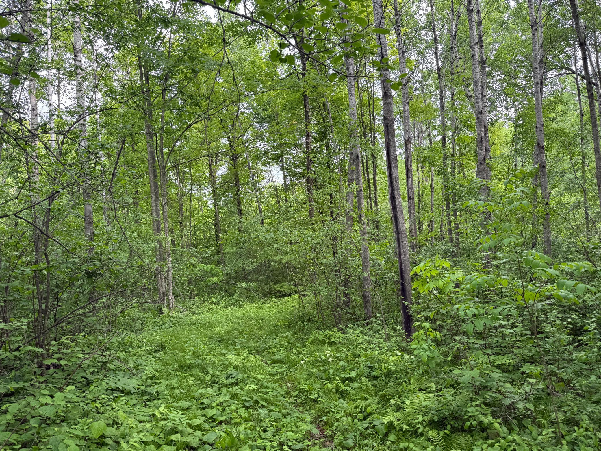 10551 Mallard Road Property Photo 14