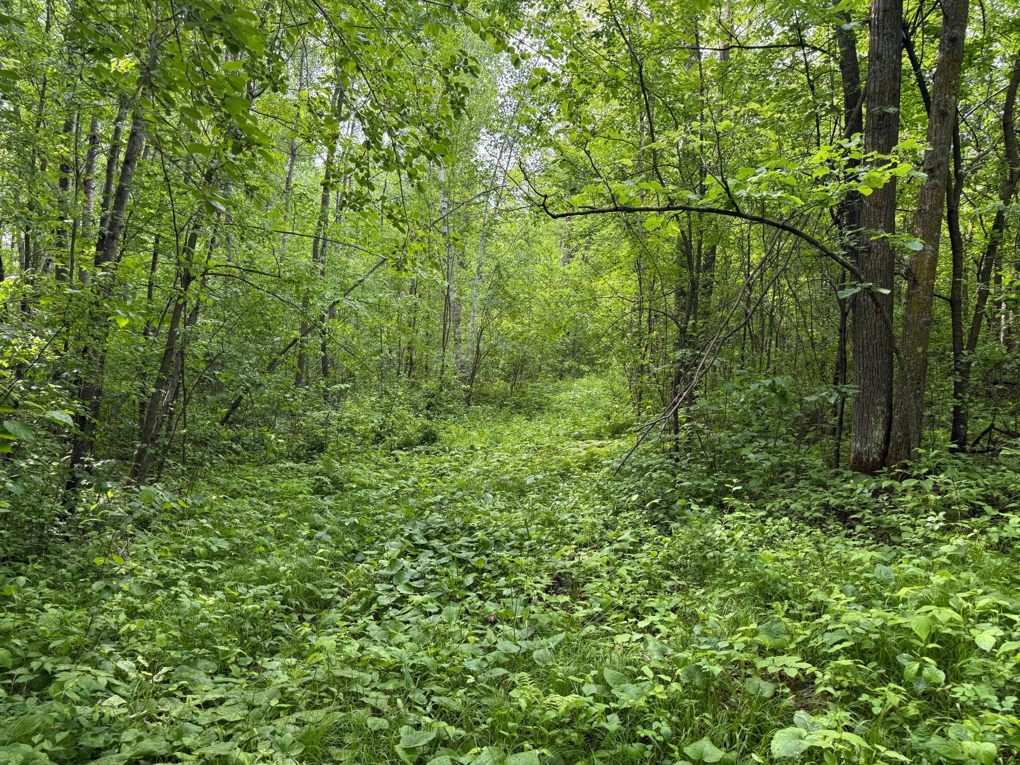 10551 Mallard Road Property Photo 15