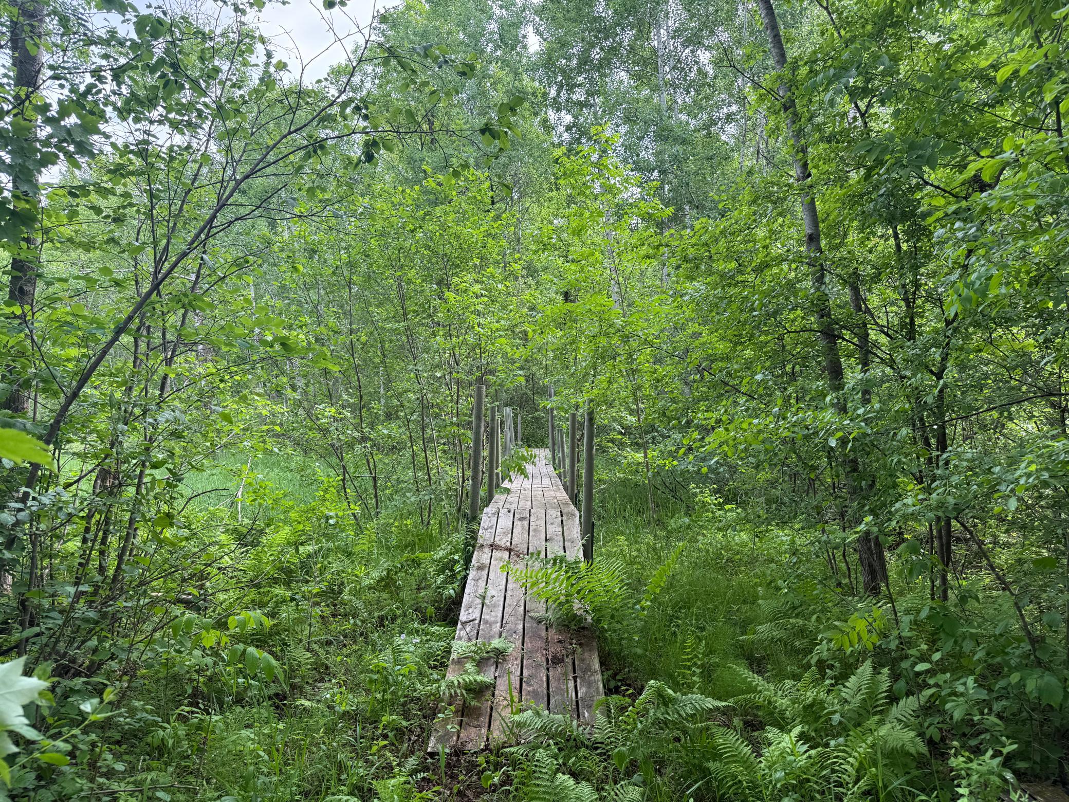 10551 Mallard Road Property Photo 16