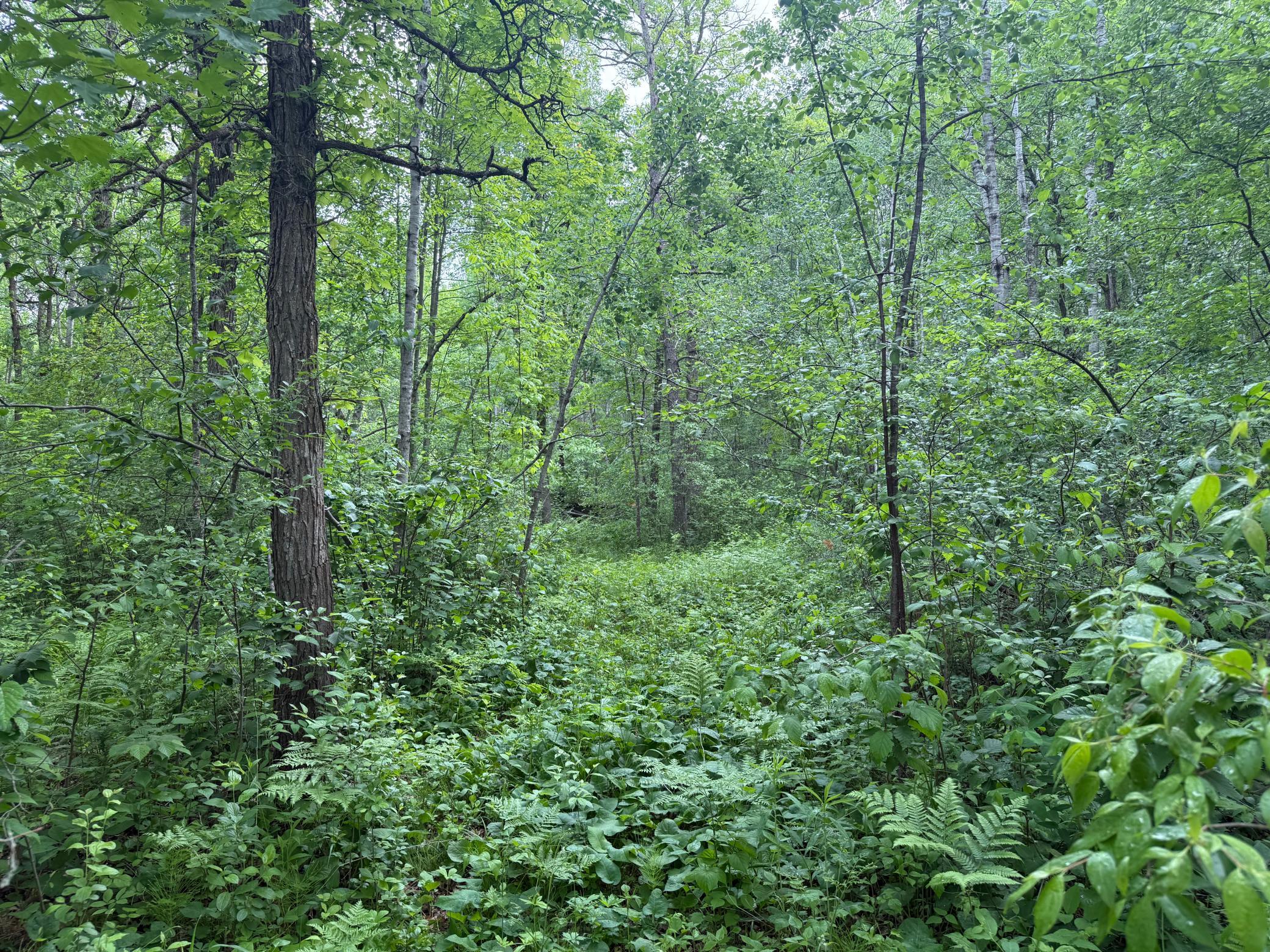 10551 Mallard Road Property Photo 17