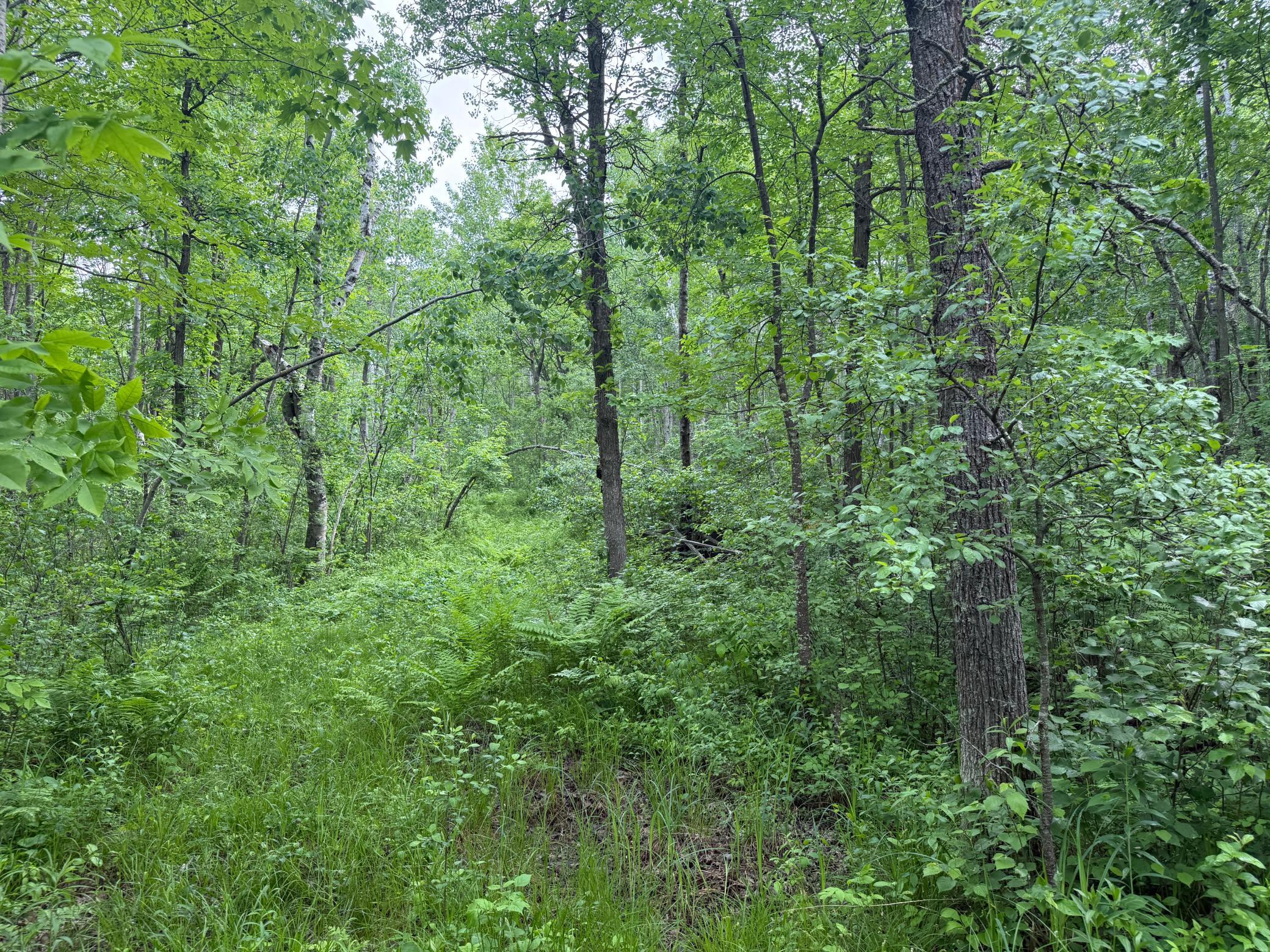 10551 Mallard Road Property Photo 18