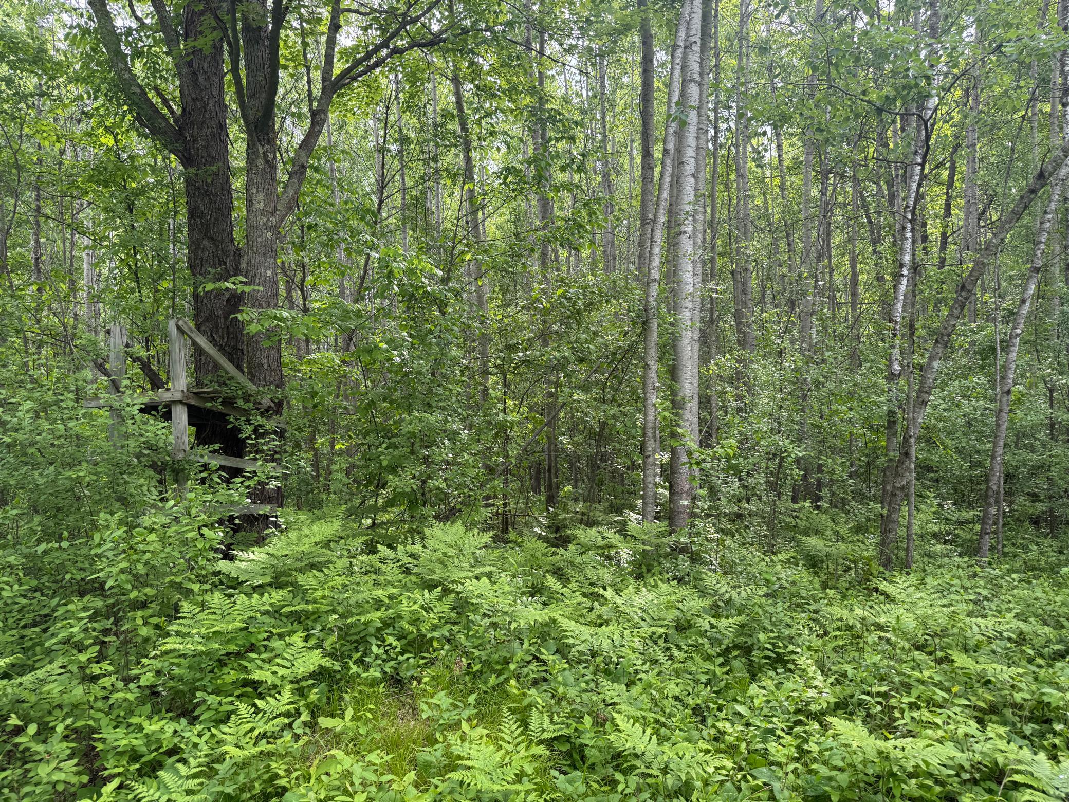 10551 Mallard Road Property Photo 19