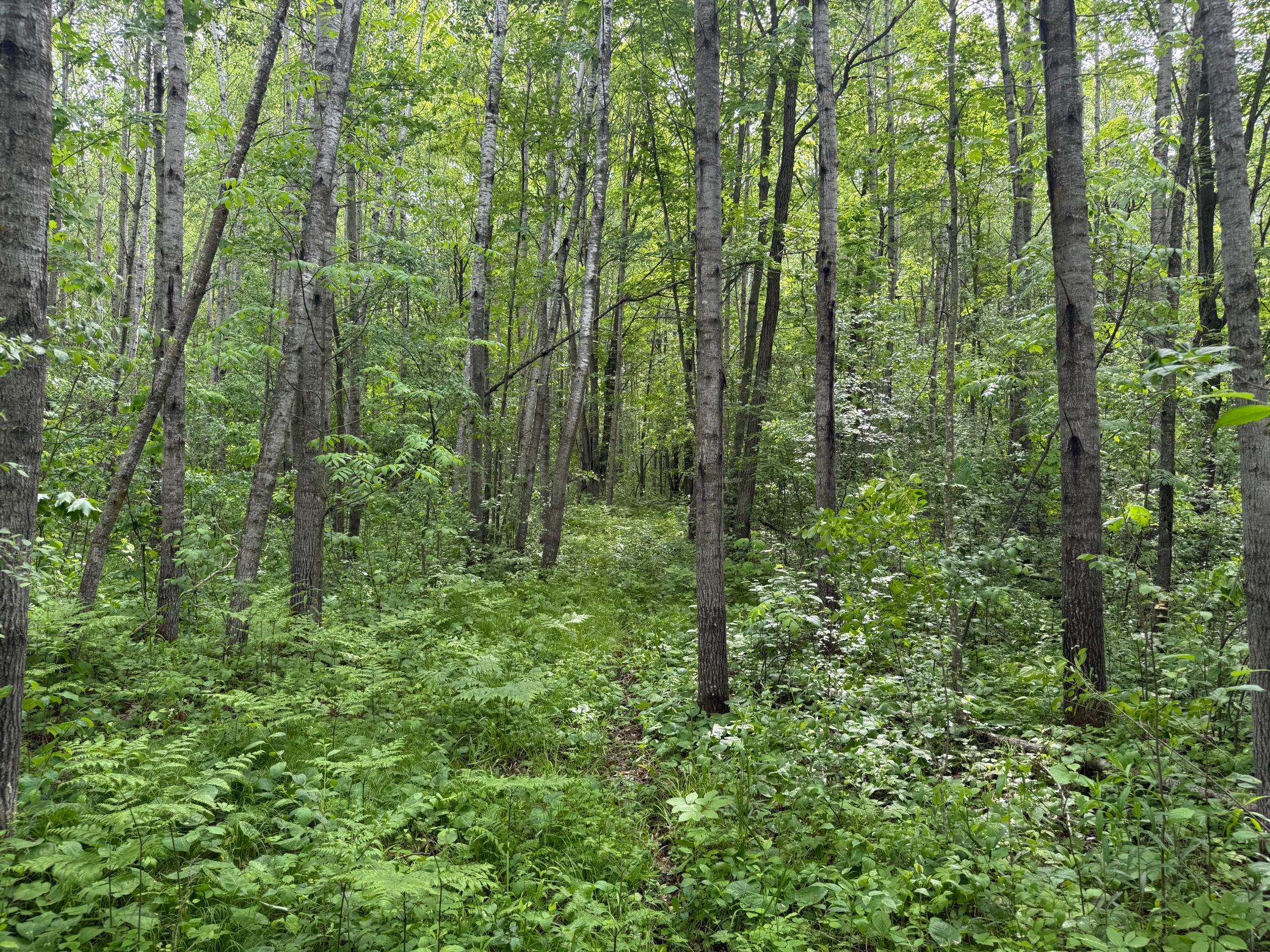 10551 Mallard Road Property Photo 20