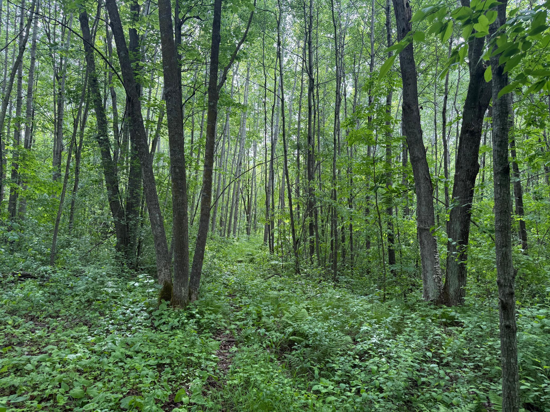10551 Mallard Road Property Photo 21