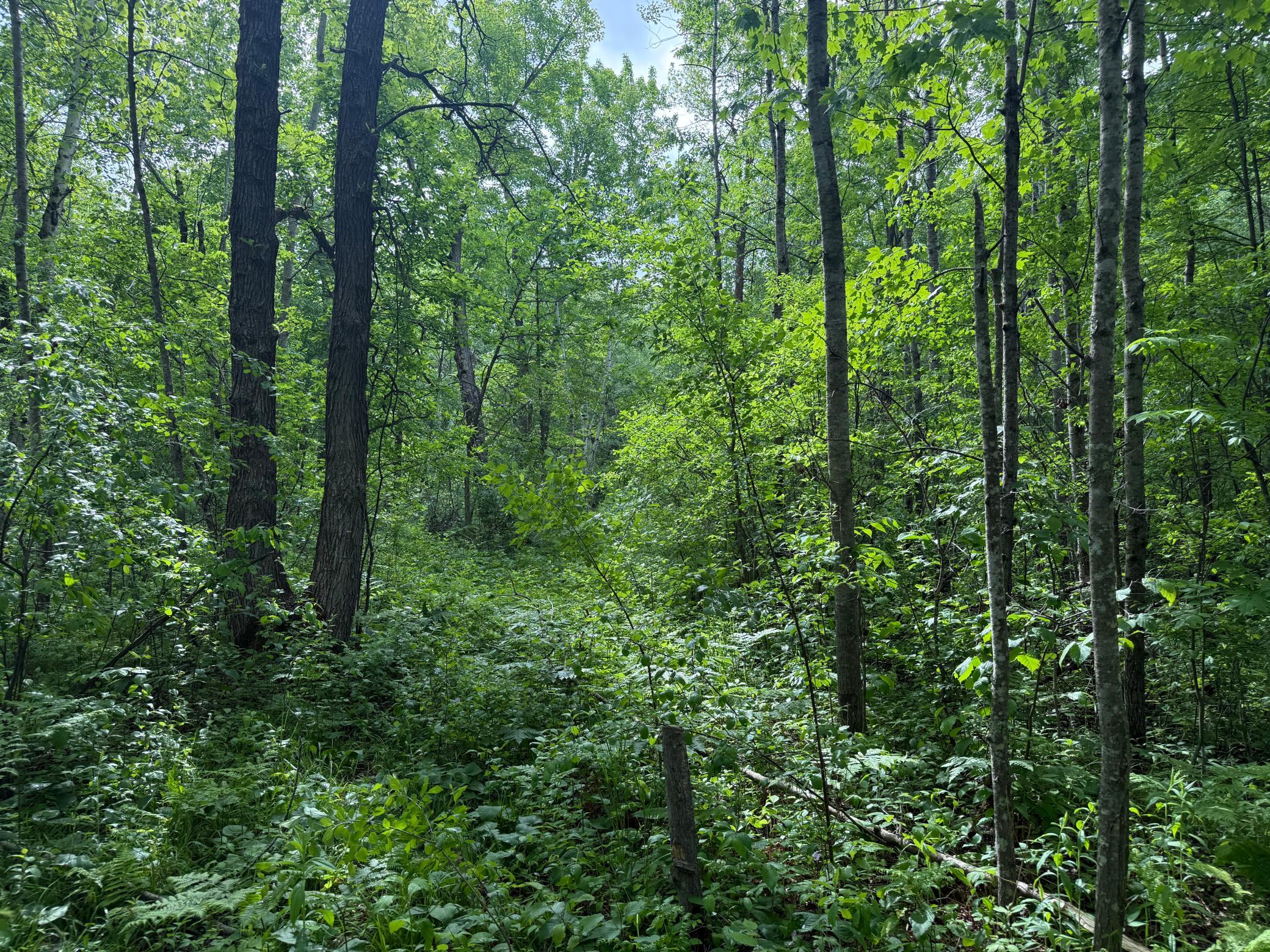 10551 Mallard Road Property Photo 22