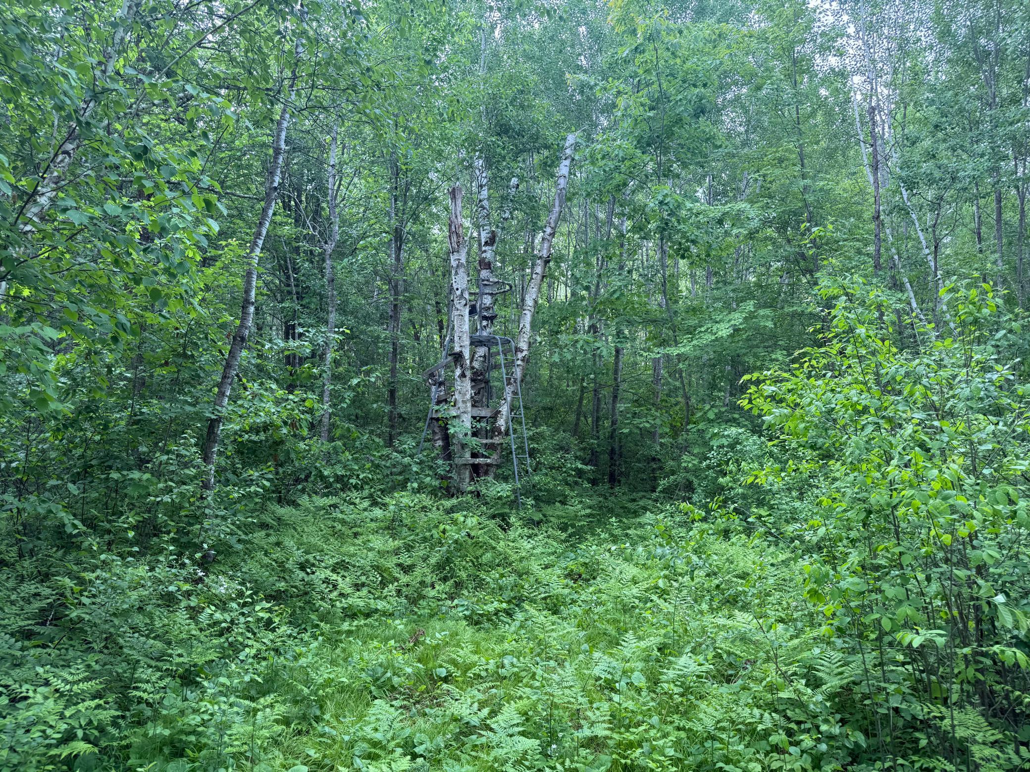 10551 Mallard Road Property Photo 23