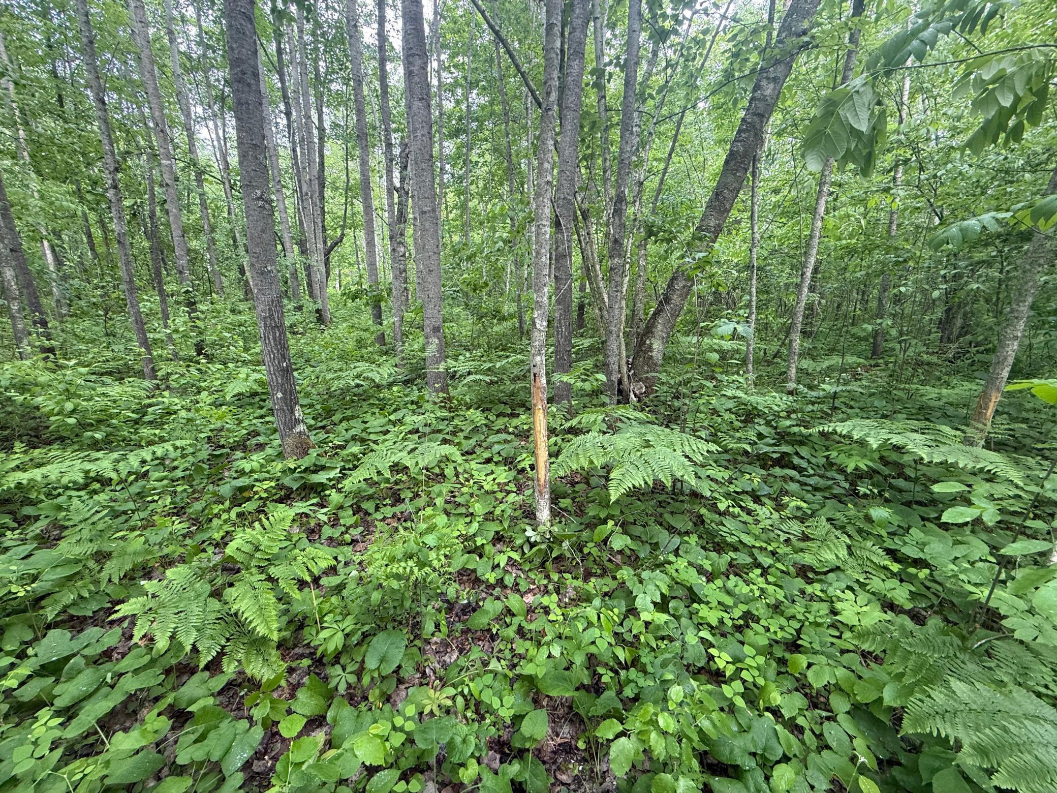10551 Mallard Road Property Photo 24