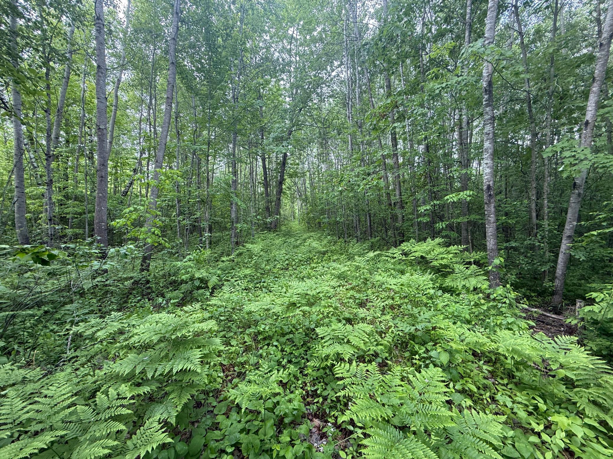 10551 Mallard Road Property Photo 25