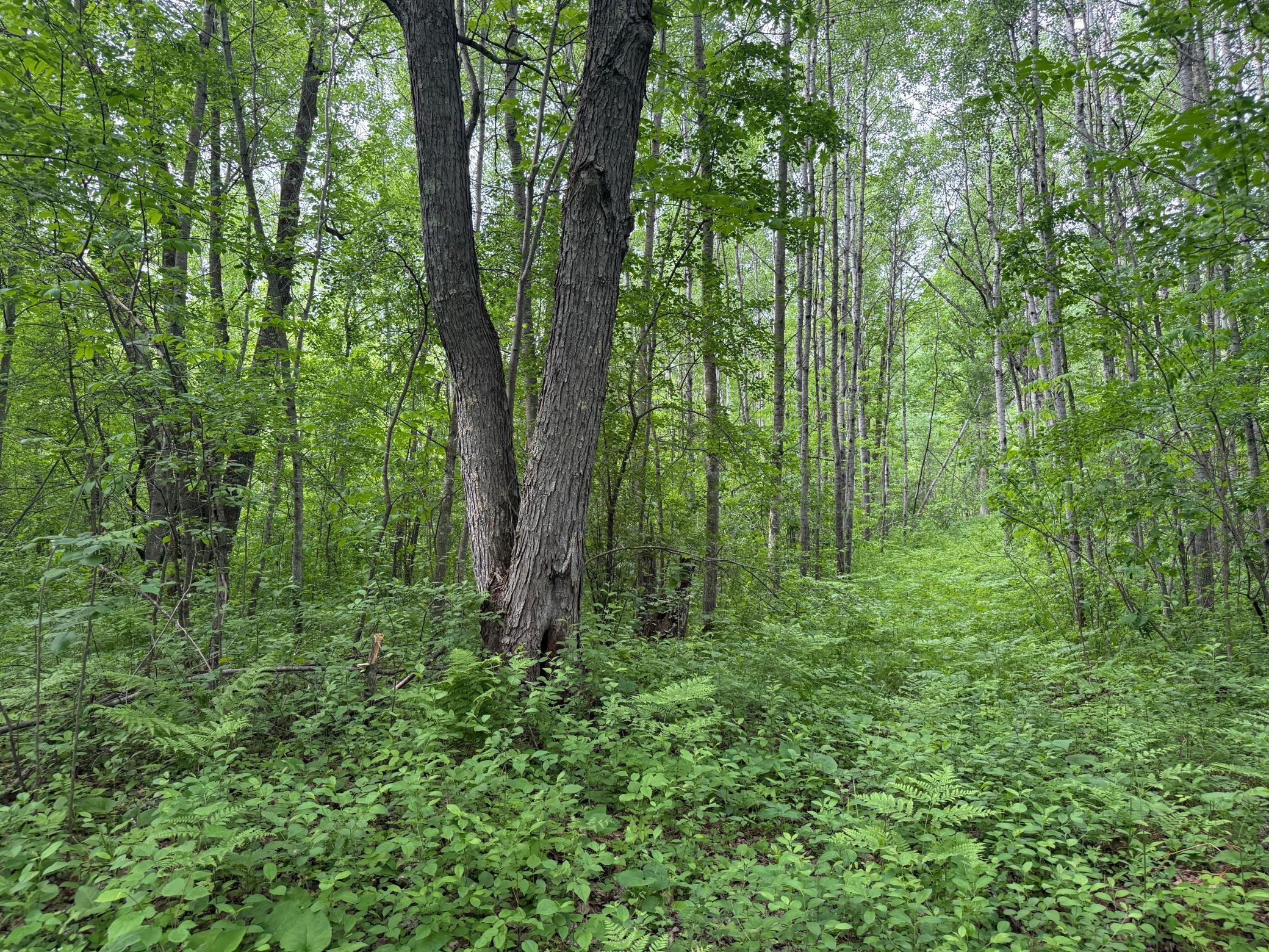 10551 Mallard Road Property Photo 26
