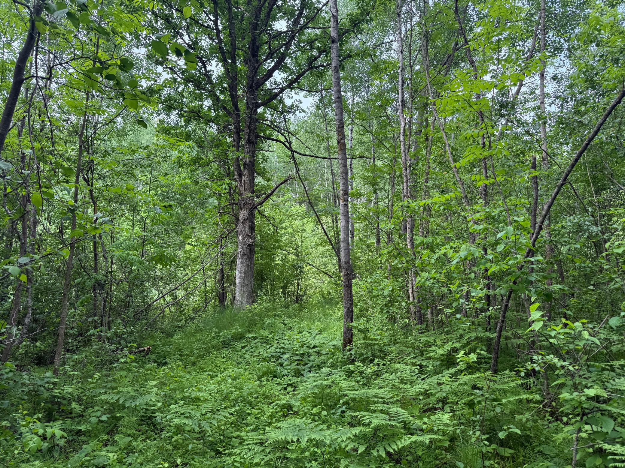 10551 Mallard Road Property Photo 27