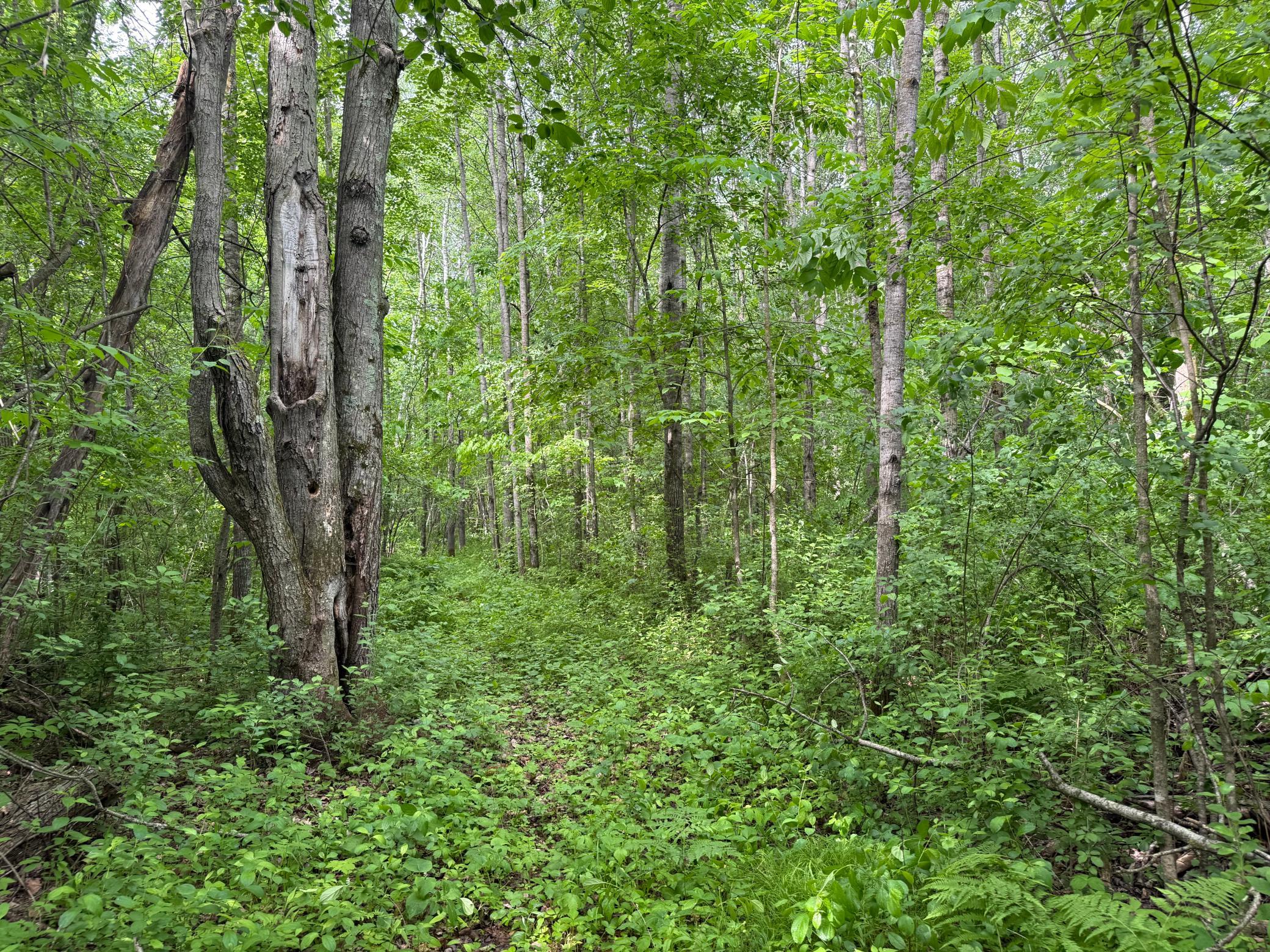 10551 Mallard Road Property Photo 28