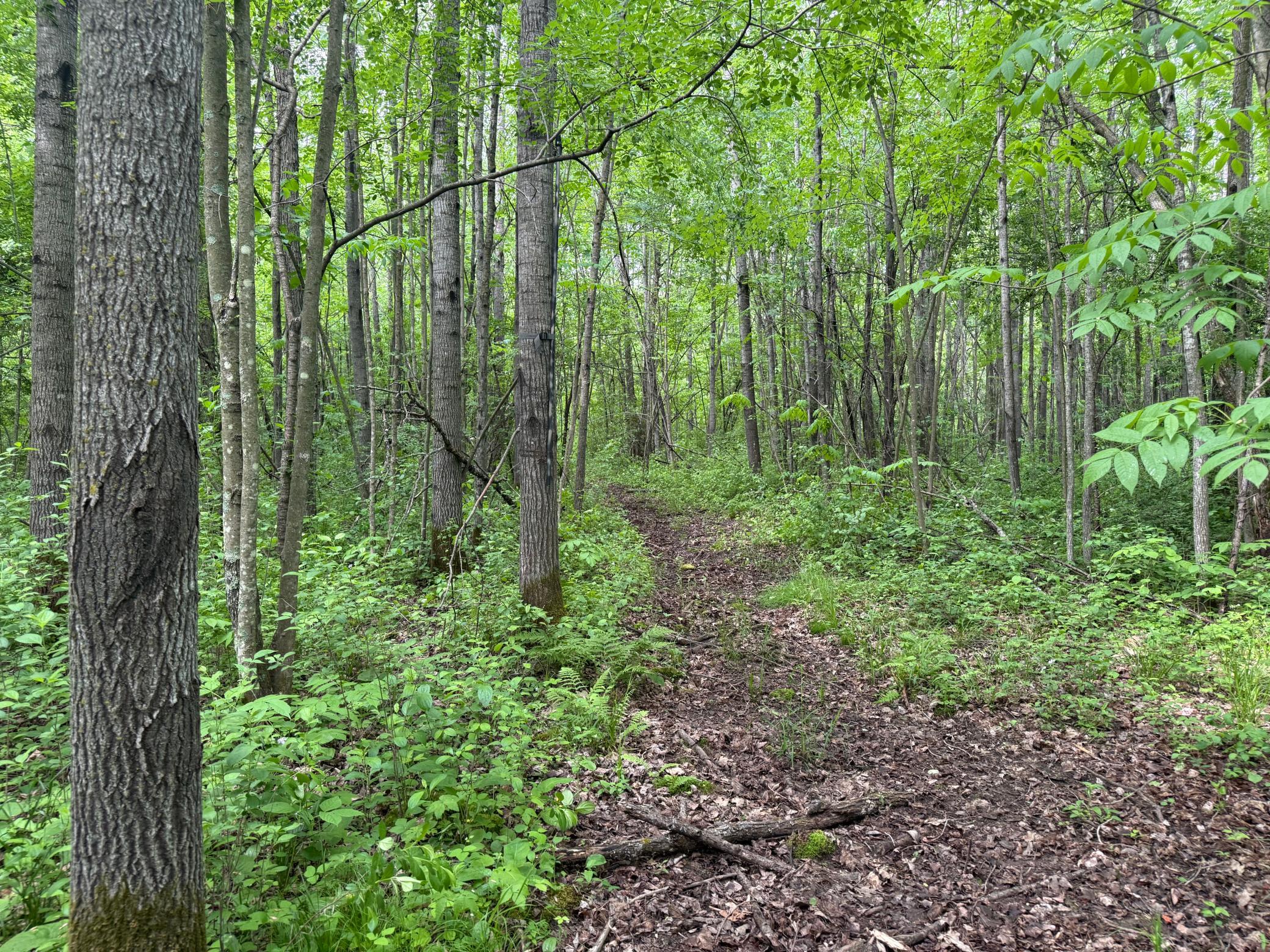 10551 Mallard Road Property Photo 29