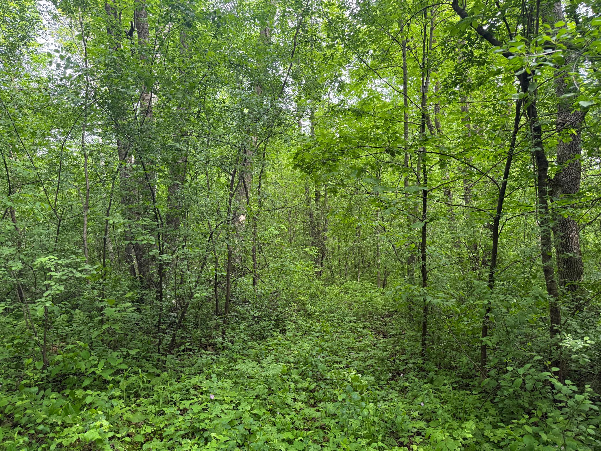 10551 Mallard Road Property Photo 30