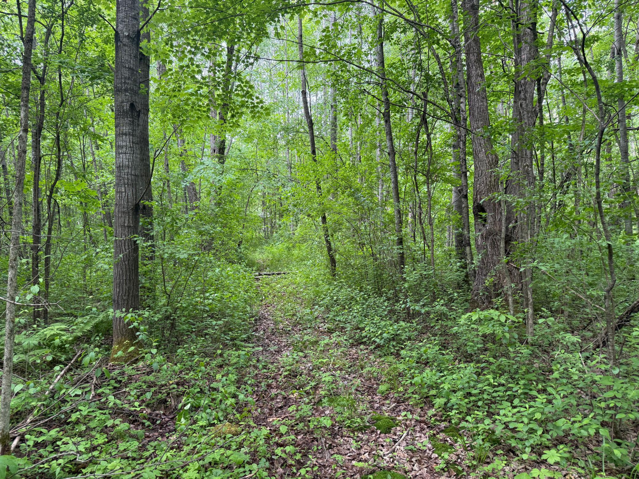 10551 Mallard Road Property Photo 31