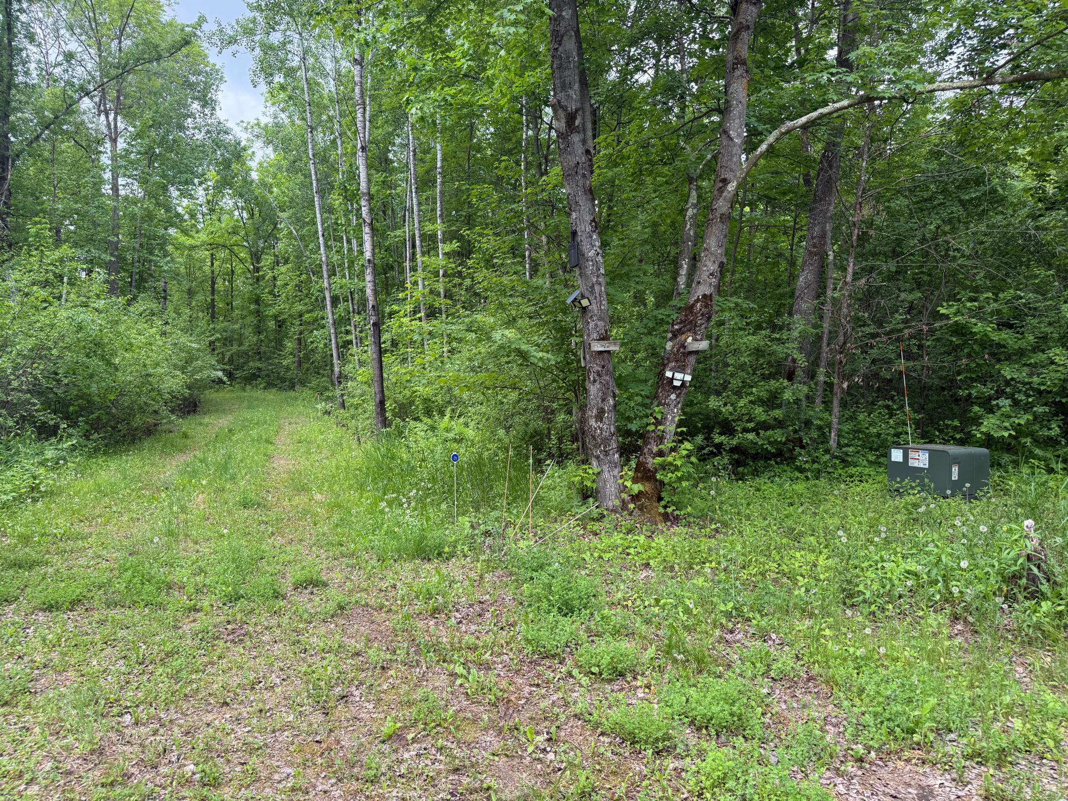 10551 Mallard Road Property Photo 34