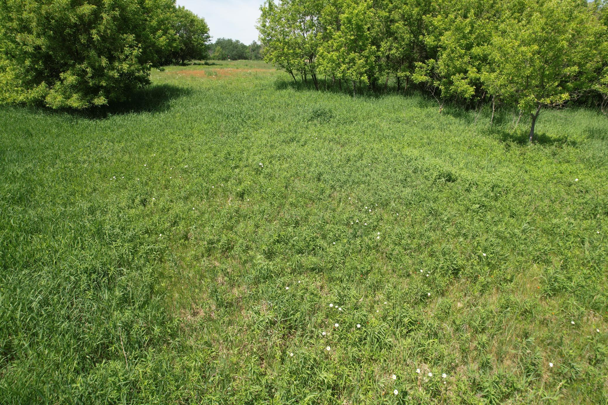 Lot 1 11th Street Property Photo 4