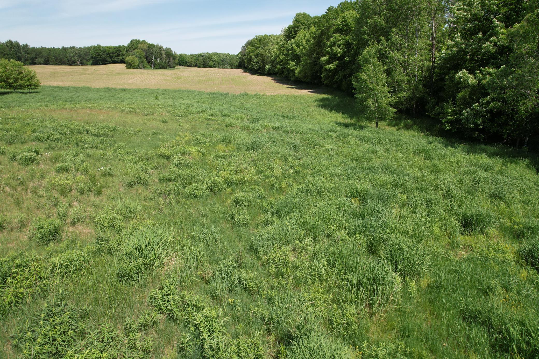 Lot 1 11th Street Property Photo 7