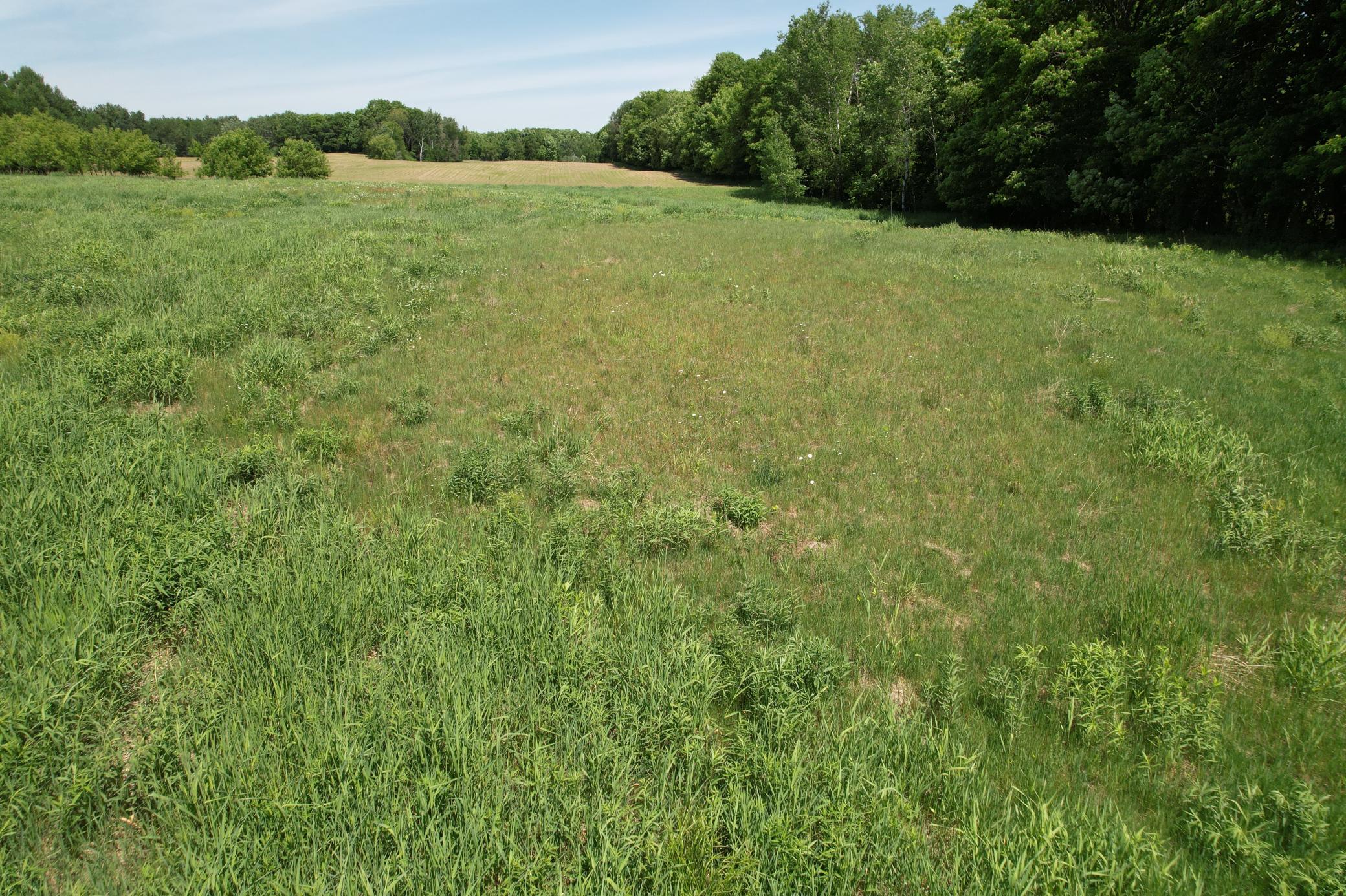 Lot 1 11th Street Property Photo 9