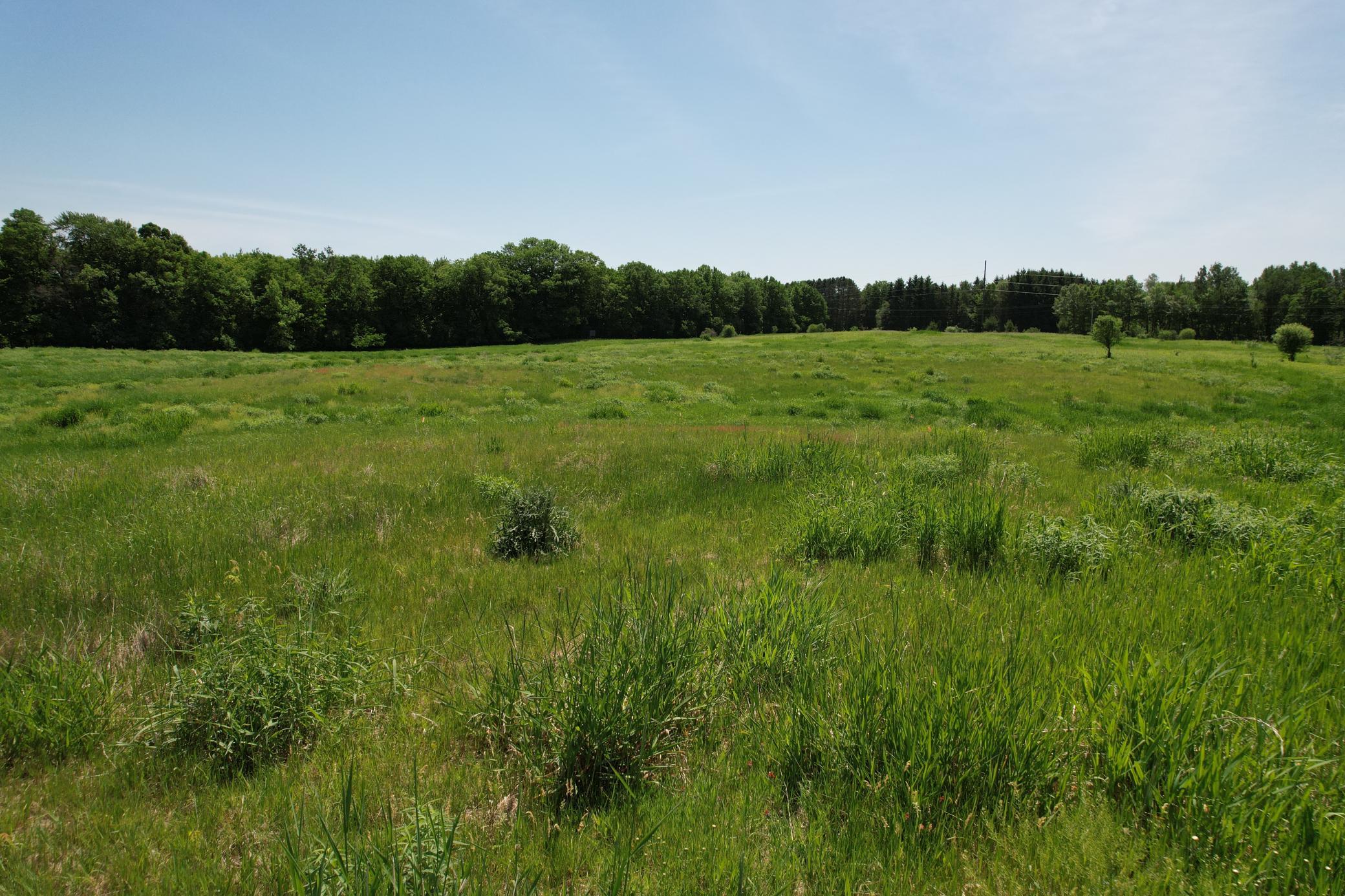 Lot 1 11th Street Property Photo 10