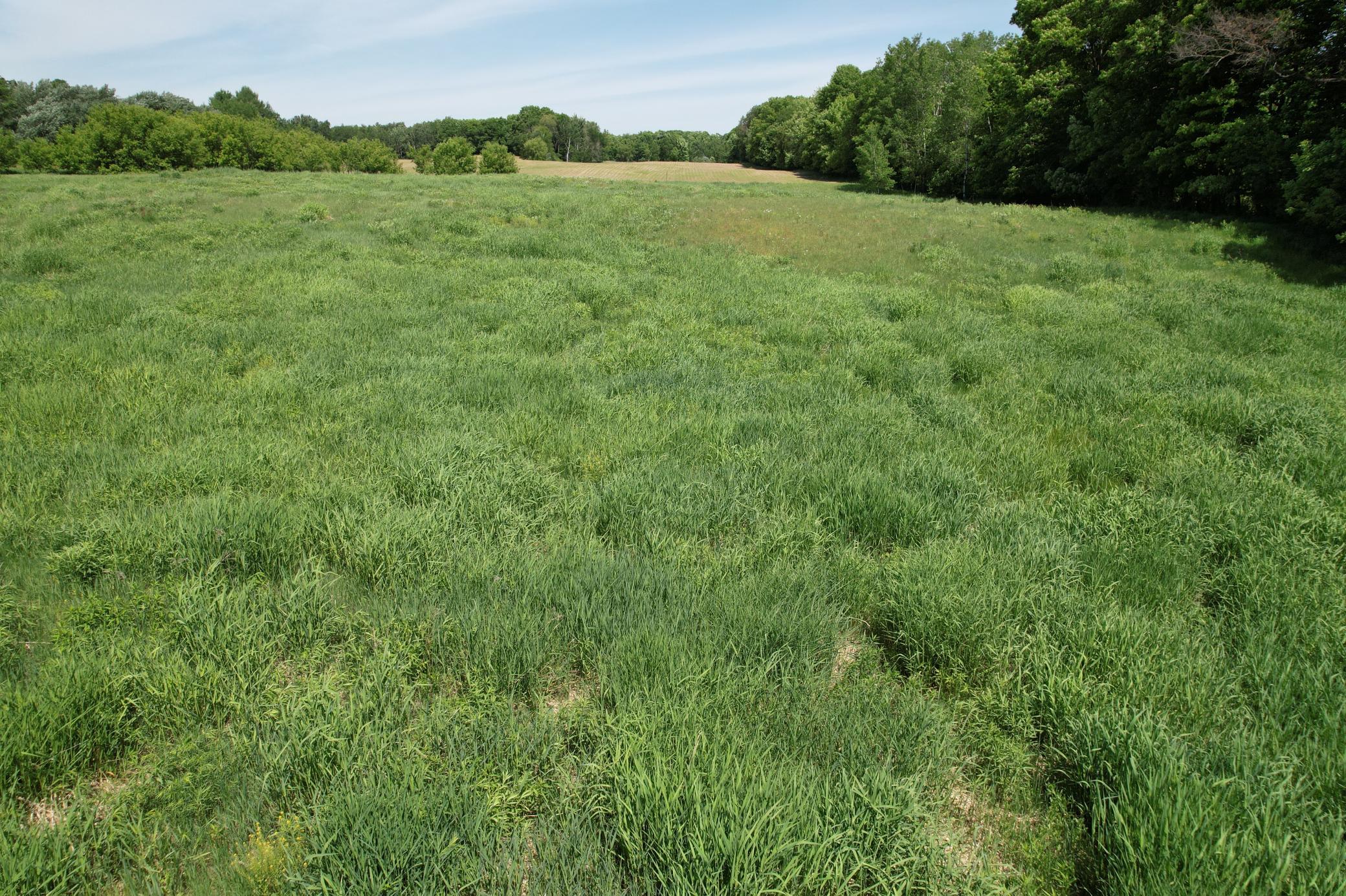 Lot 1 11th Street Property Photo 11