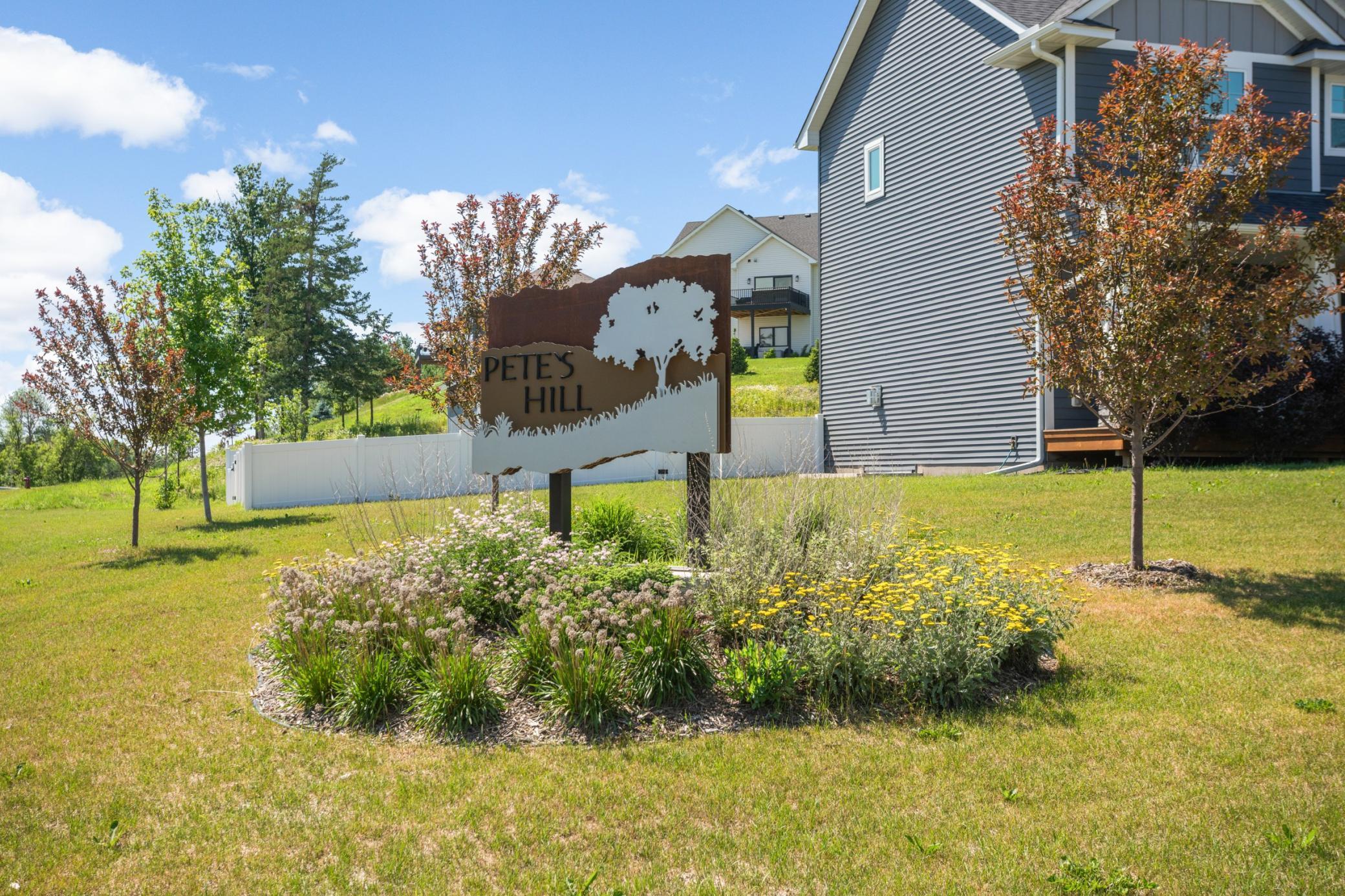 27231 Pete's Hill Trail Property Photo 57