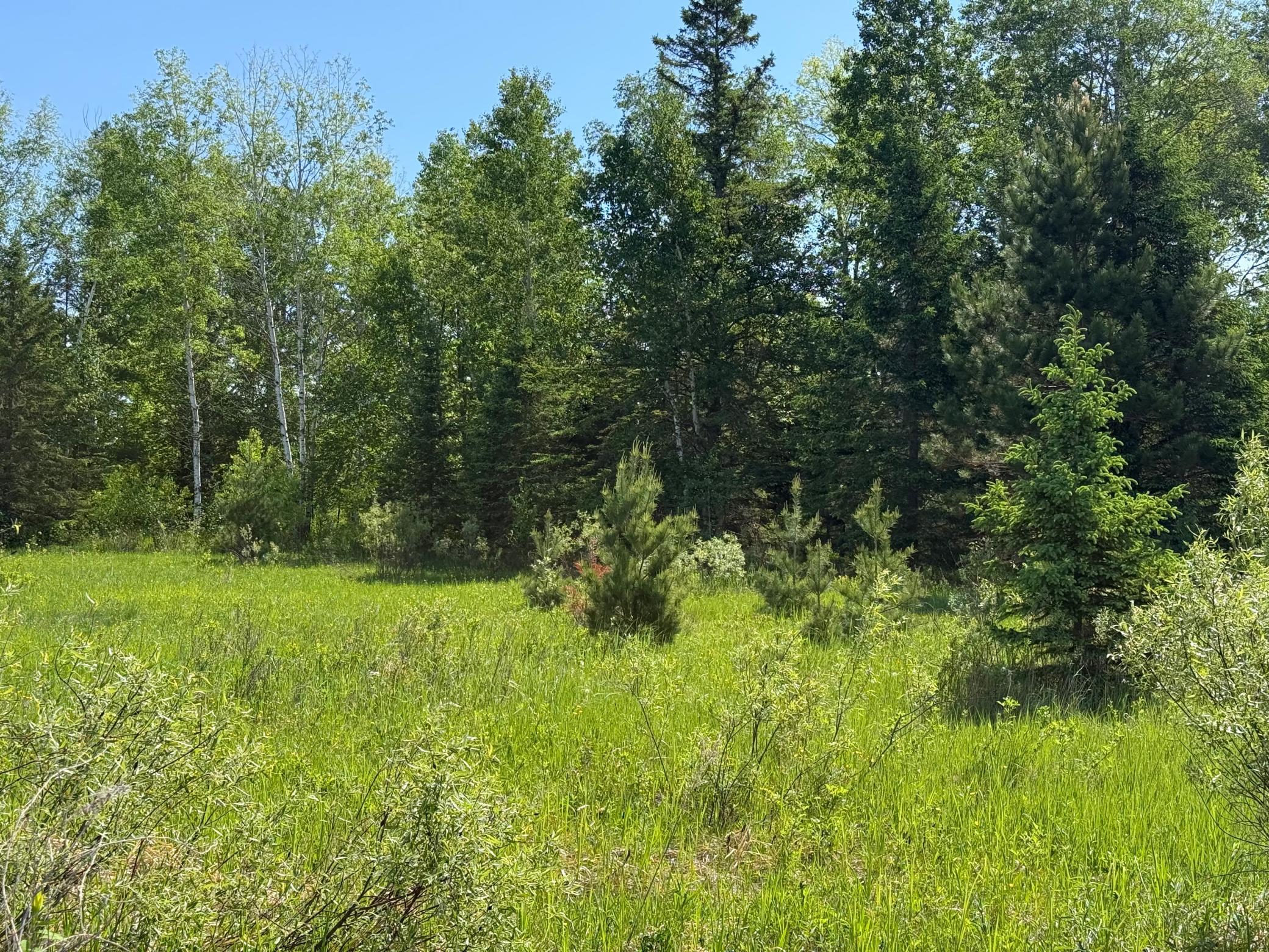 42330 Rutabaga Road Property Photo 27